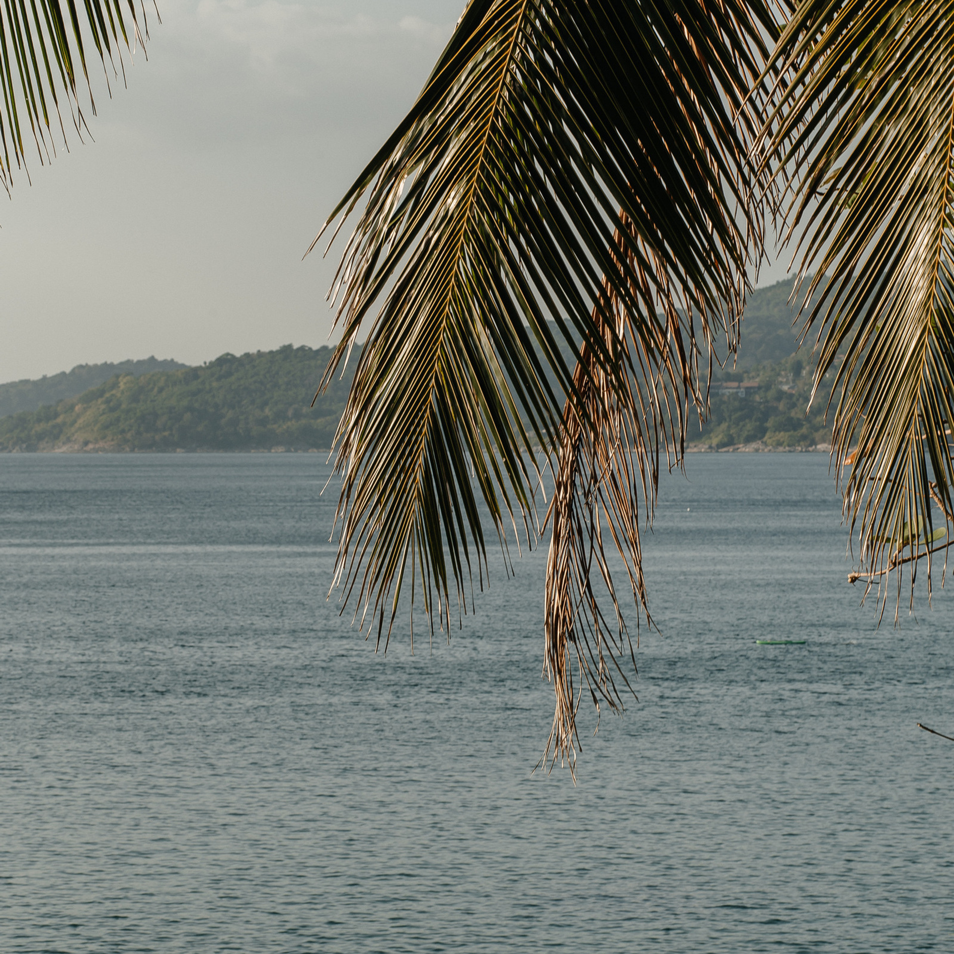 Отзывы. Свадебный фотограф в Челябинске Оксана Мишакова