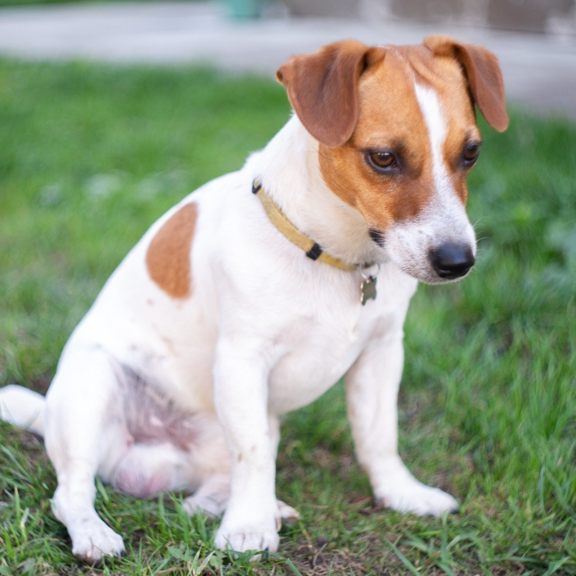 Отзывы. Фотограф Анна Хмель