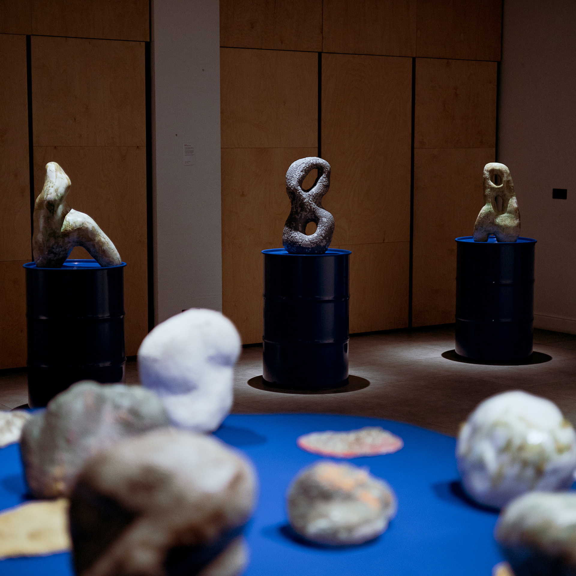 Отзывы. Алиса Сафина — Фотограф Тверь. Организация фотосессий под ключ