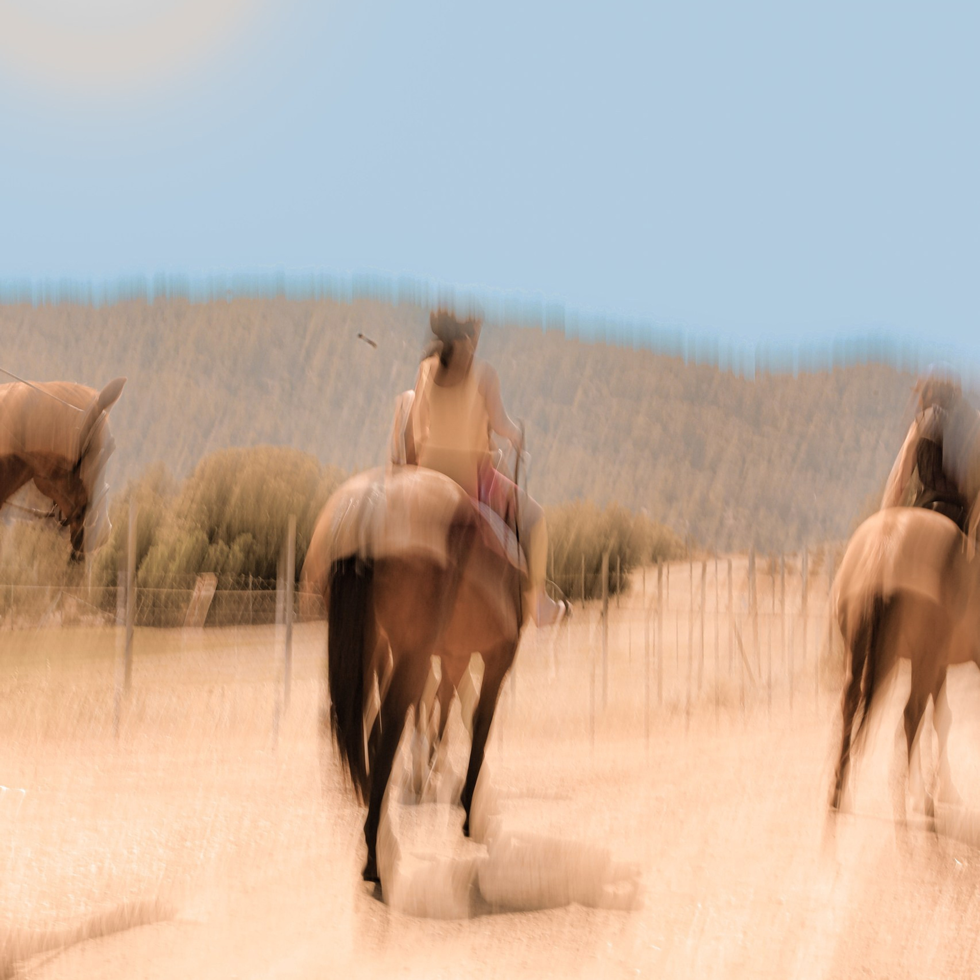 Отзывы о профессиональном фотографе Наталье Кочуковой. Ната Кочукова фотограф на Кипре и в Москве