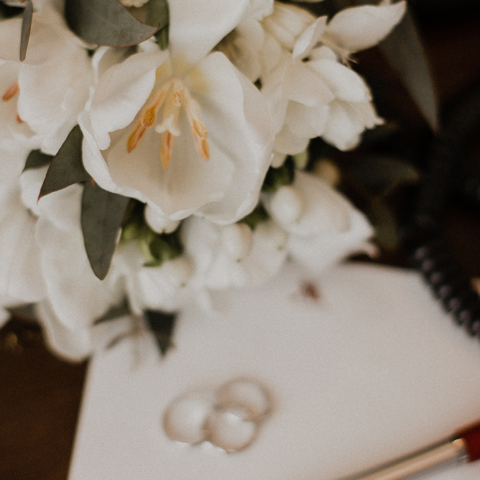 Роман и Алиса