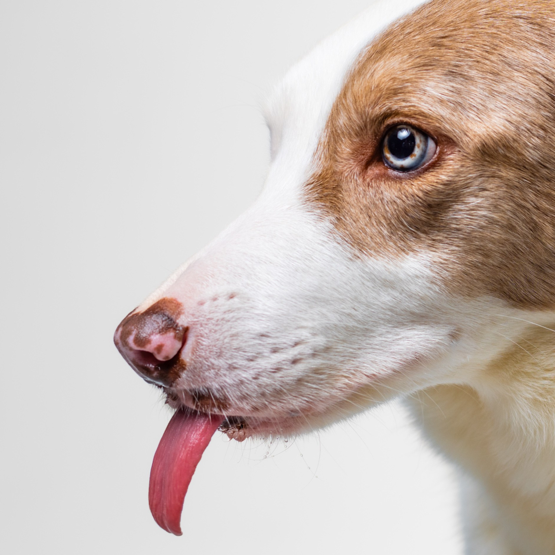 Воркшоп по импульсному свету