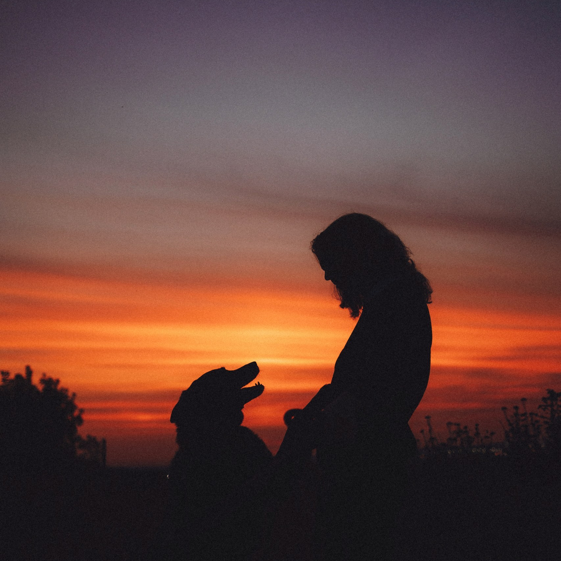 Отзывы о работе фотографа-анималиста или зоофотографа, Москва