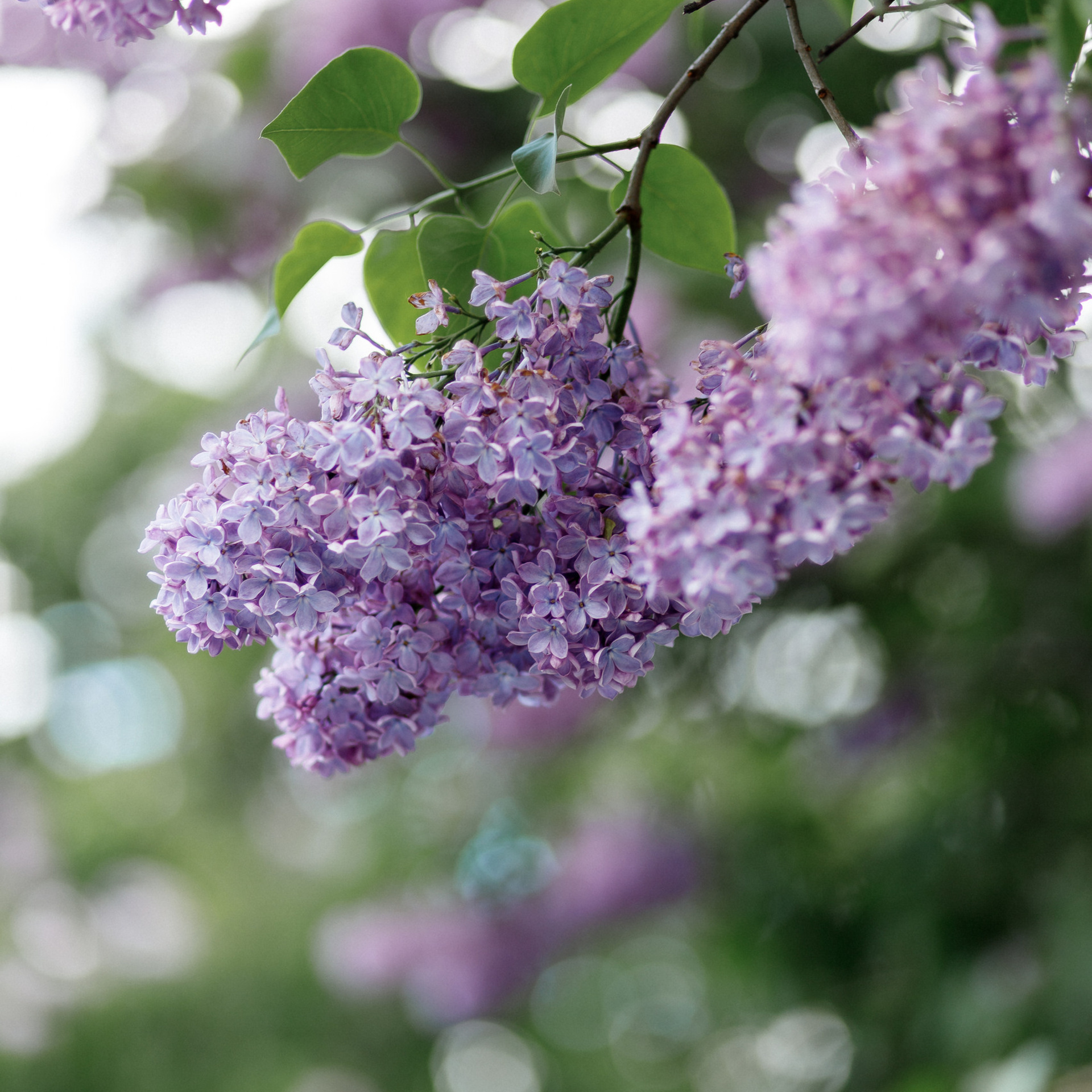 Отзывы. Фотограф Карпачан Анастасия