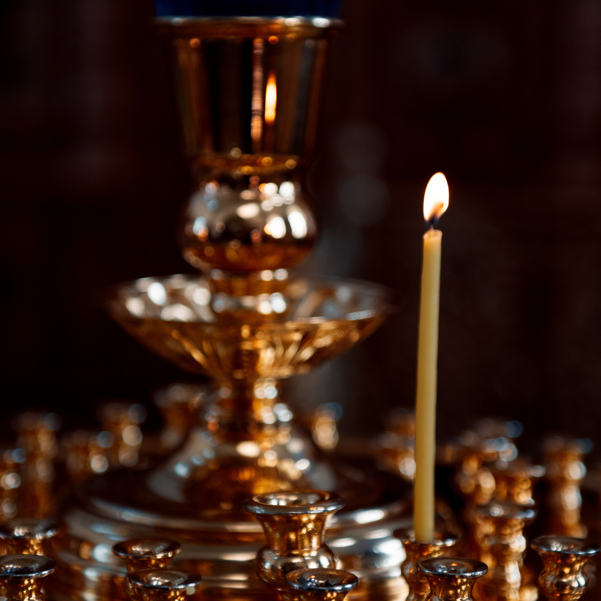 Отзывы о фотографе — Данилов Михаил. Свадебный и репортажный фотограф в Домодедово, Видное, Москва — Михаил Данилов