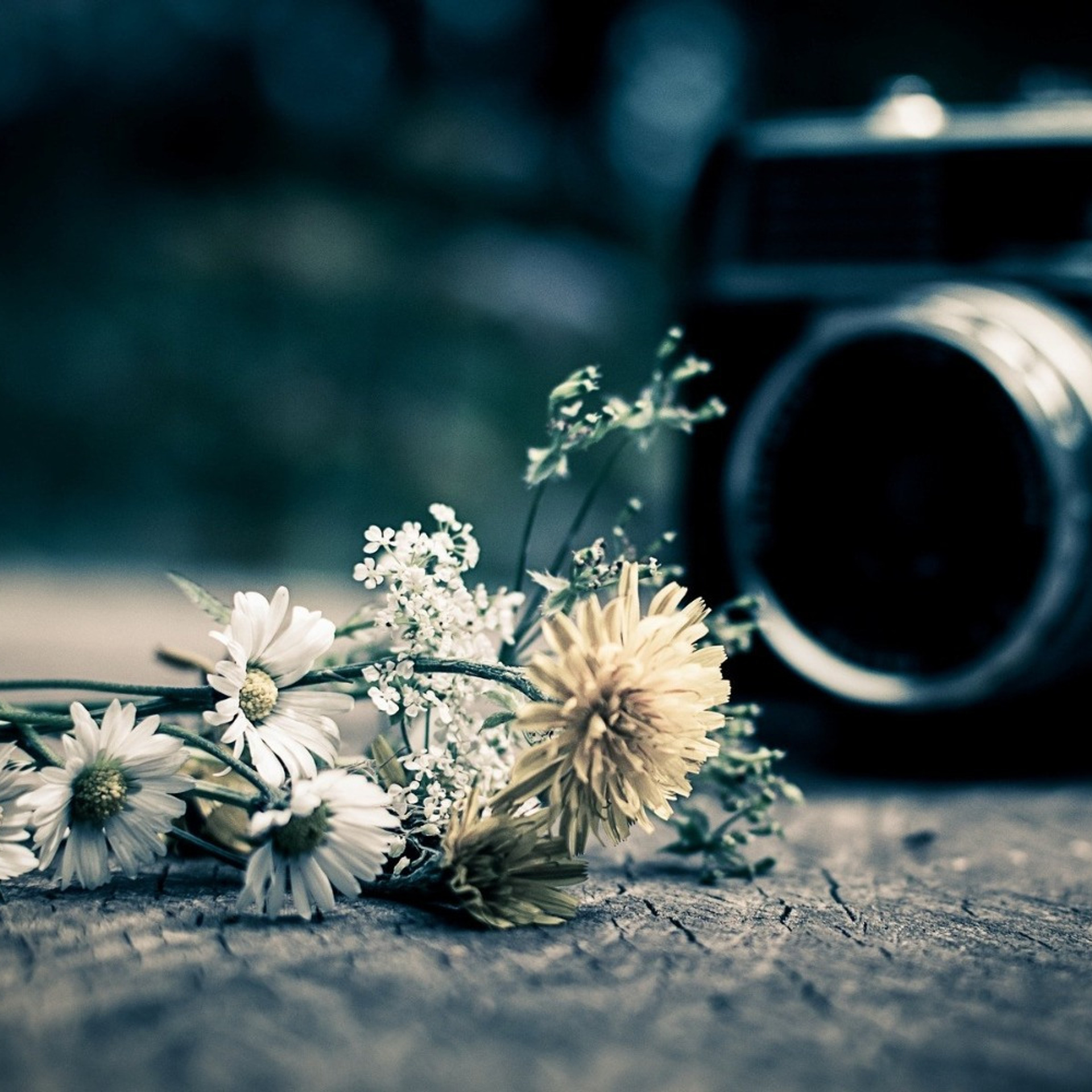 Студийные фотосессии