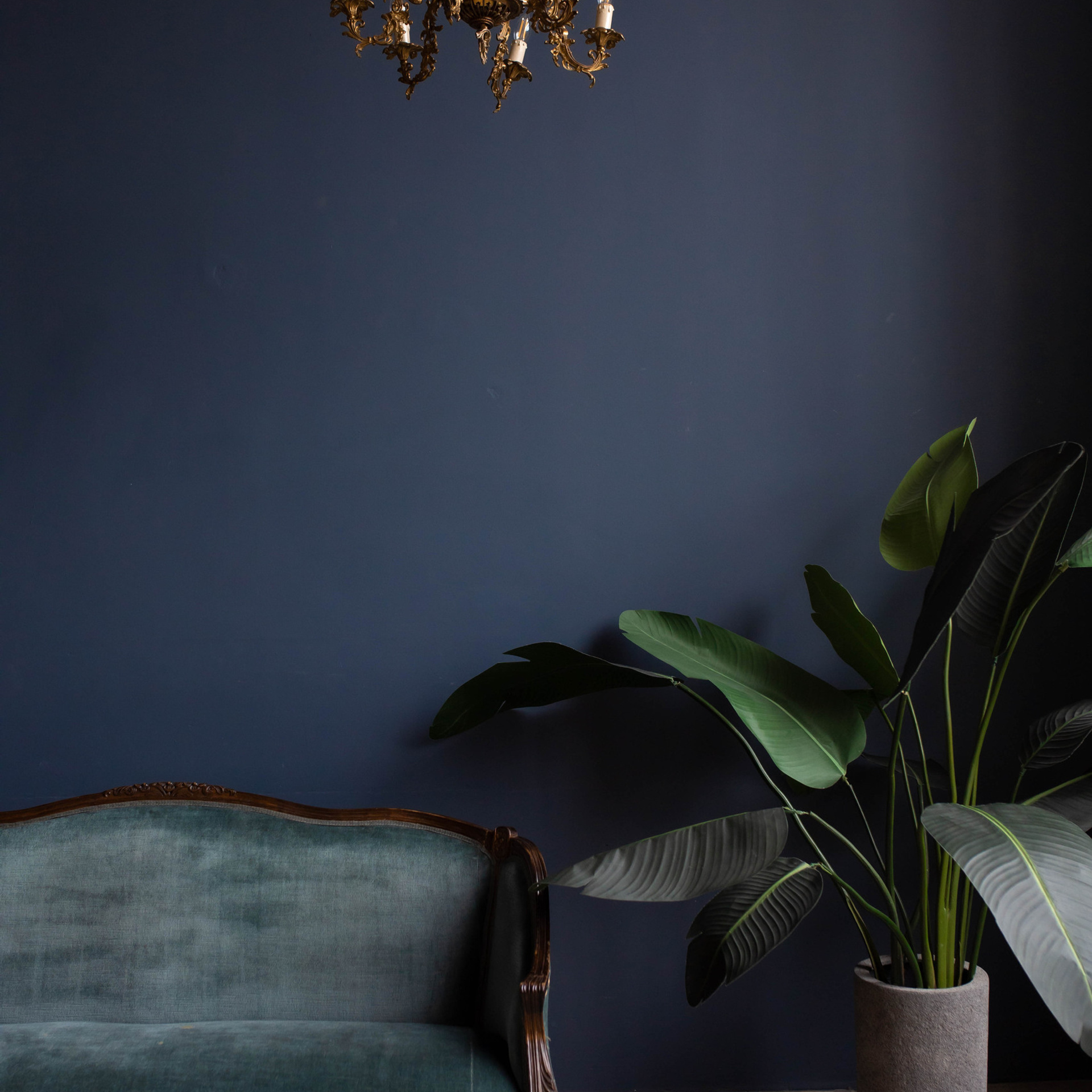 Отзывы героев о фотосессиях. Фотограф Валерия Горбунова Подольск Бутово Видное Щербинка