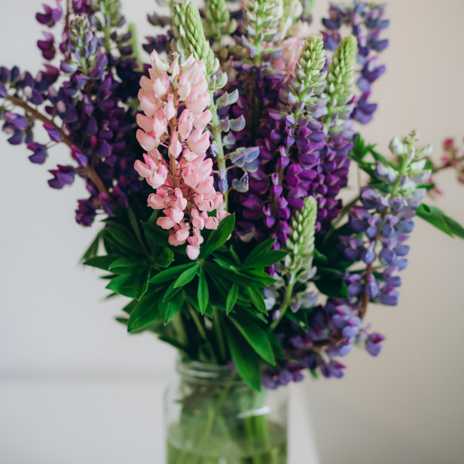 Отзывы. Свадебный и семейный фотограф в Санкт-Петербурге Яцына Юрий. Видеоопер