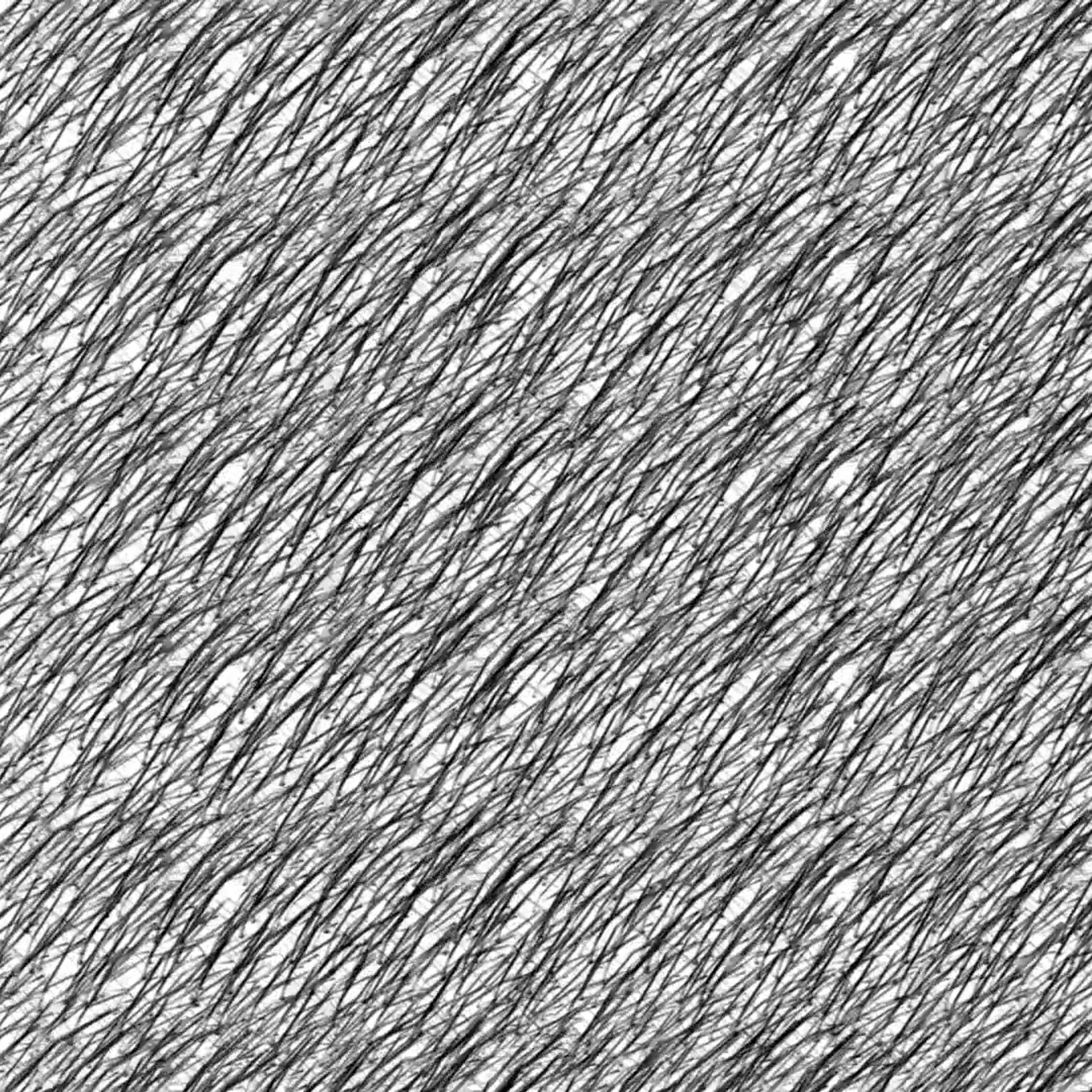 Grass — computer animation. Elena Slobtseva is a visual multidisciplinary artist