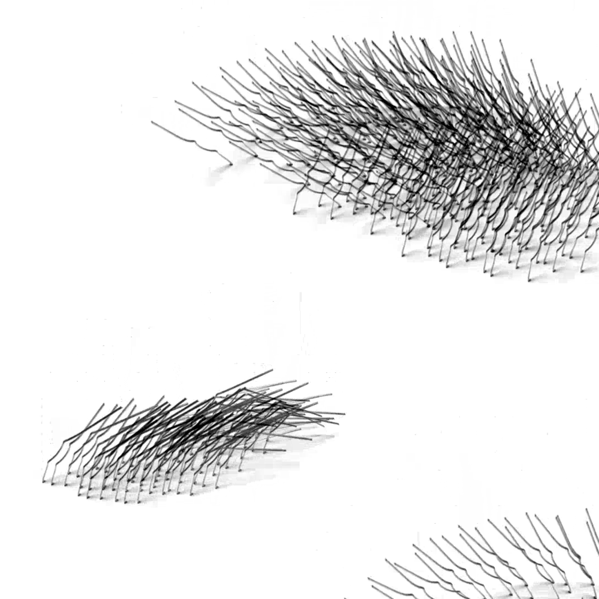 Grass — computer animation. Elena Slobtseva is a visual multidisciplinary artist