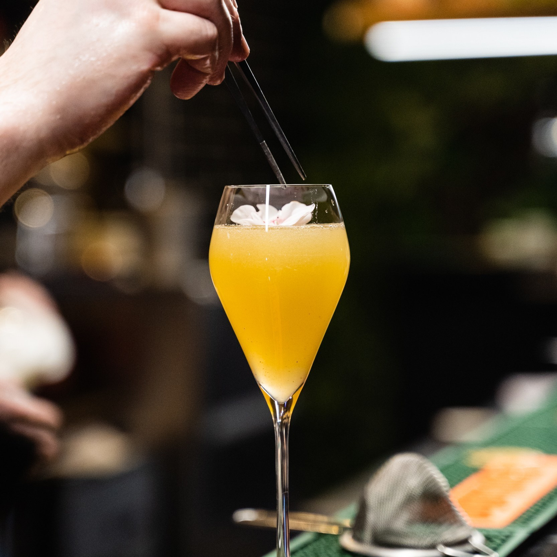 Отзывы. Алексей Евдокимов — Фотограф во Владивостоке