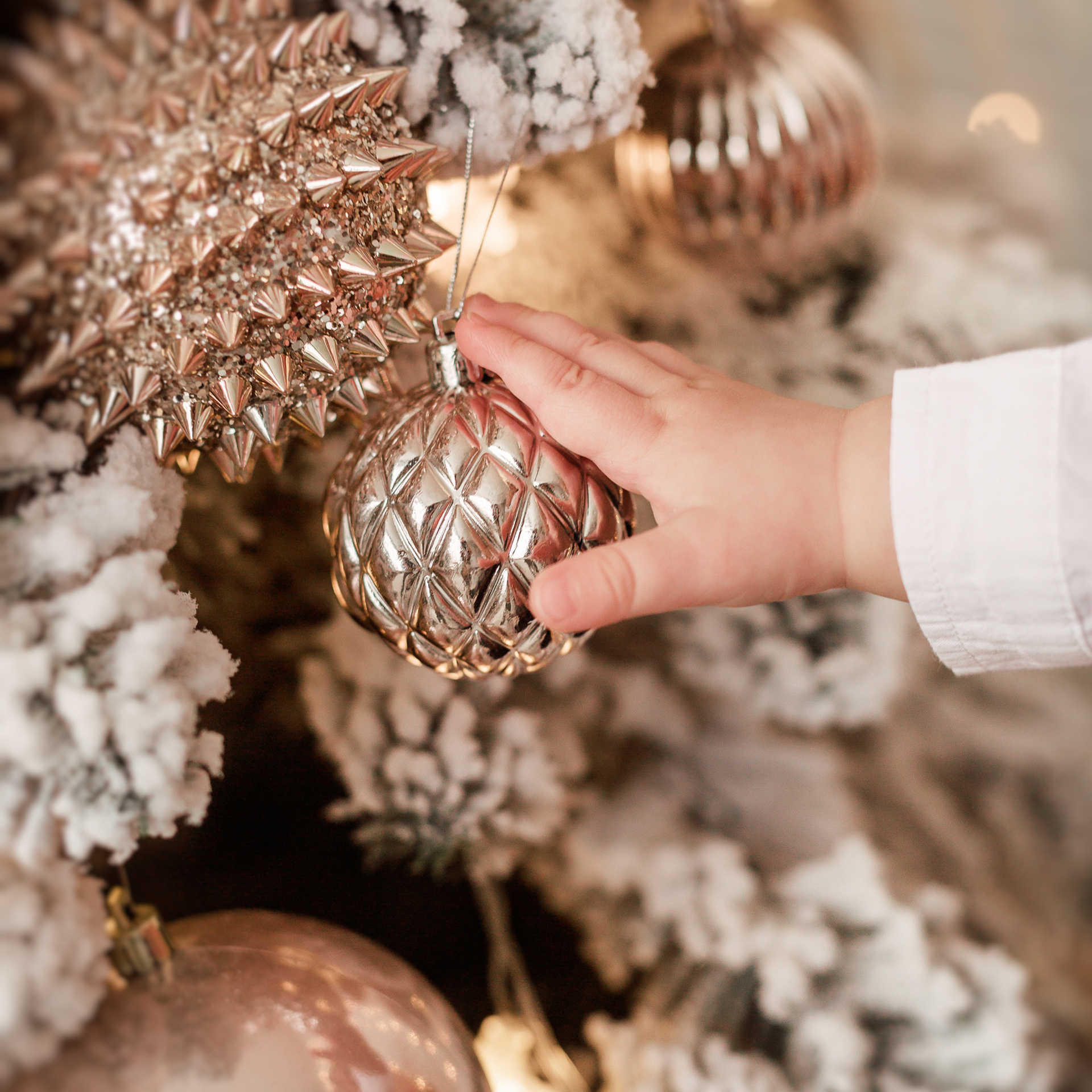 Первый Новый год Гордея