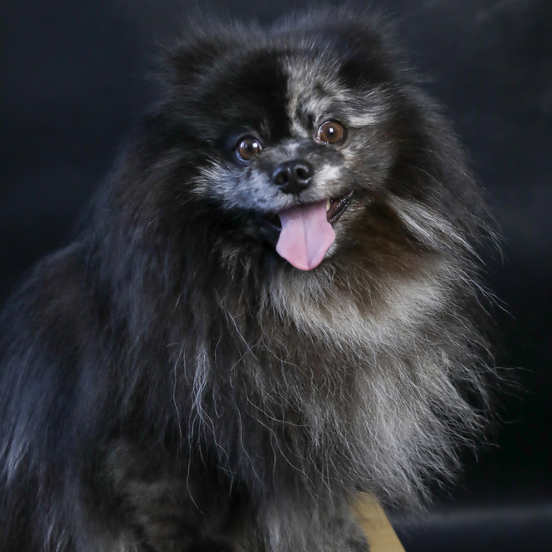 Отзывы. Семейный и детский фотограф в Пушкино, Московская обл. Оксана Котюнина