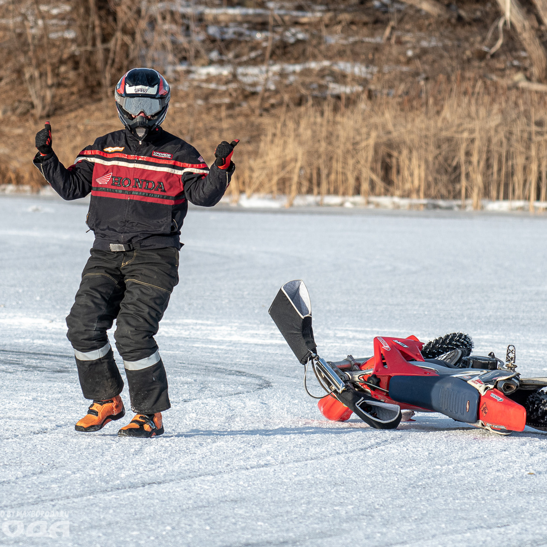 Отзывы. Фотограф | Макс Борода