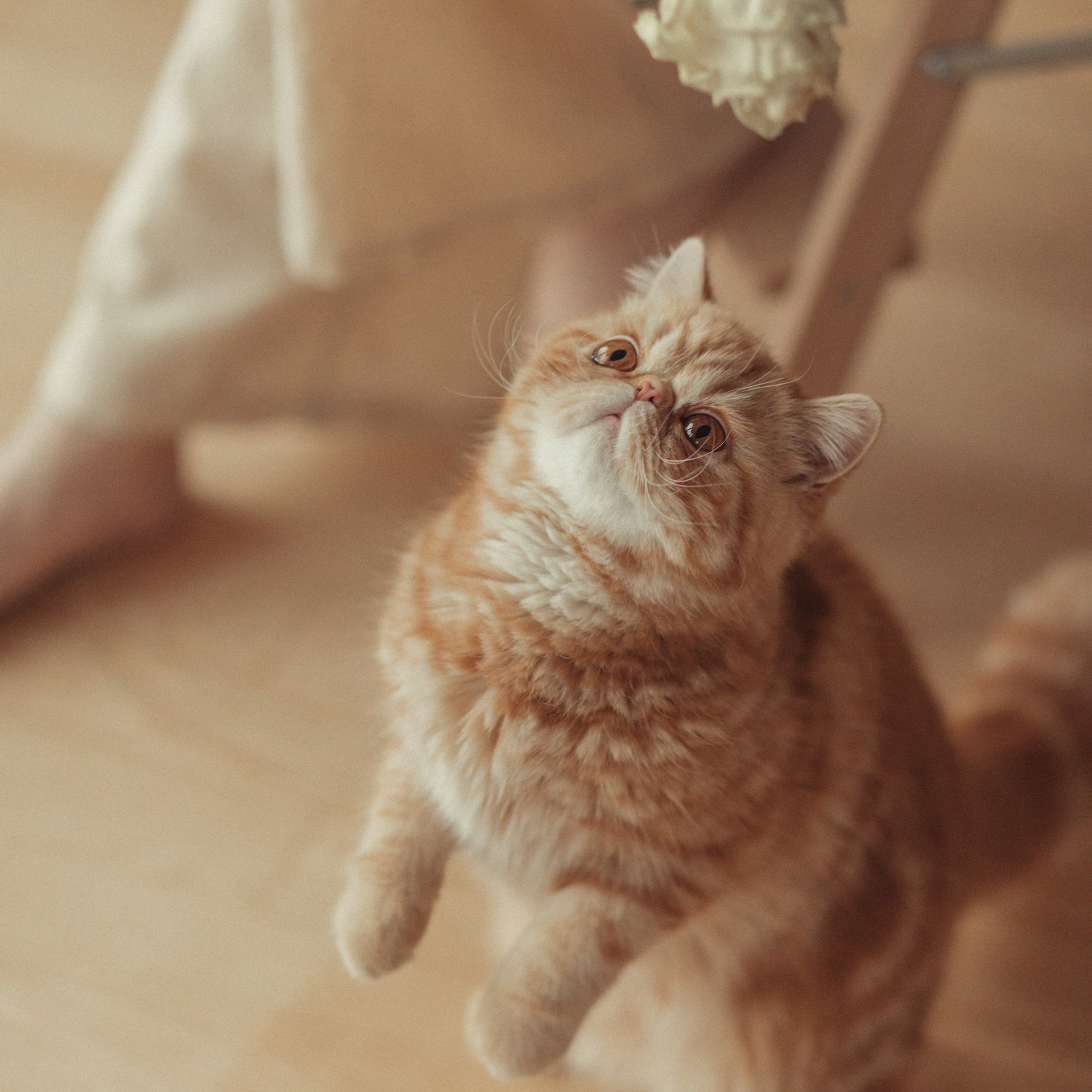 Recenze. Rodinná a svatební fotografka v Praze, Brně, Vídni a Bratislavě — Jane Reutova