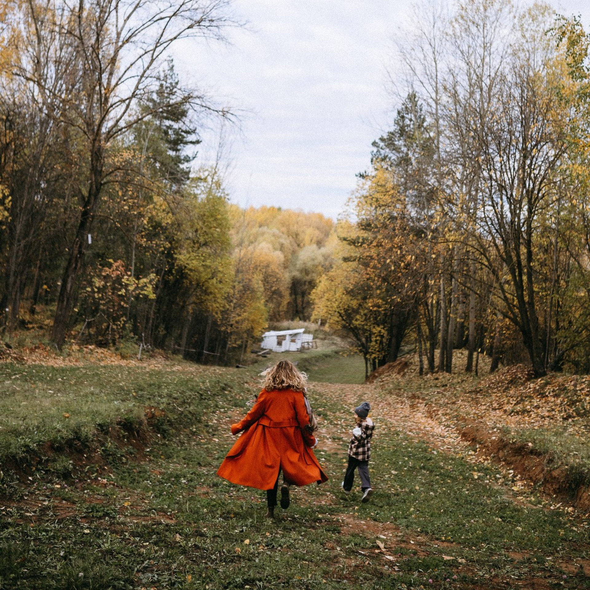 Таня, Артем, Алиса и Вайт