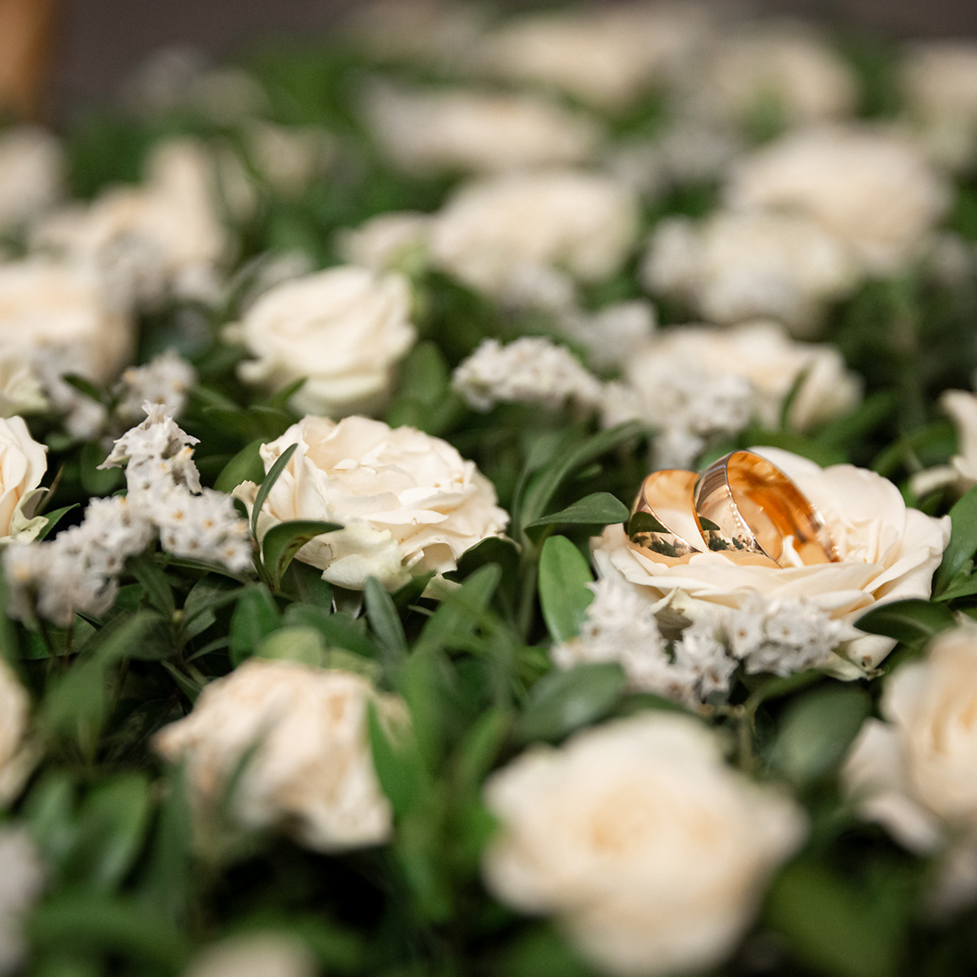 Отзывы. Свадебные фотографы в Москве: Денис и Елена Пройдовы