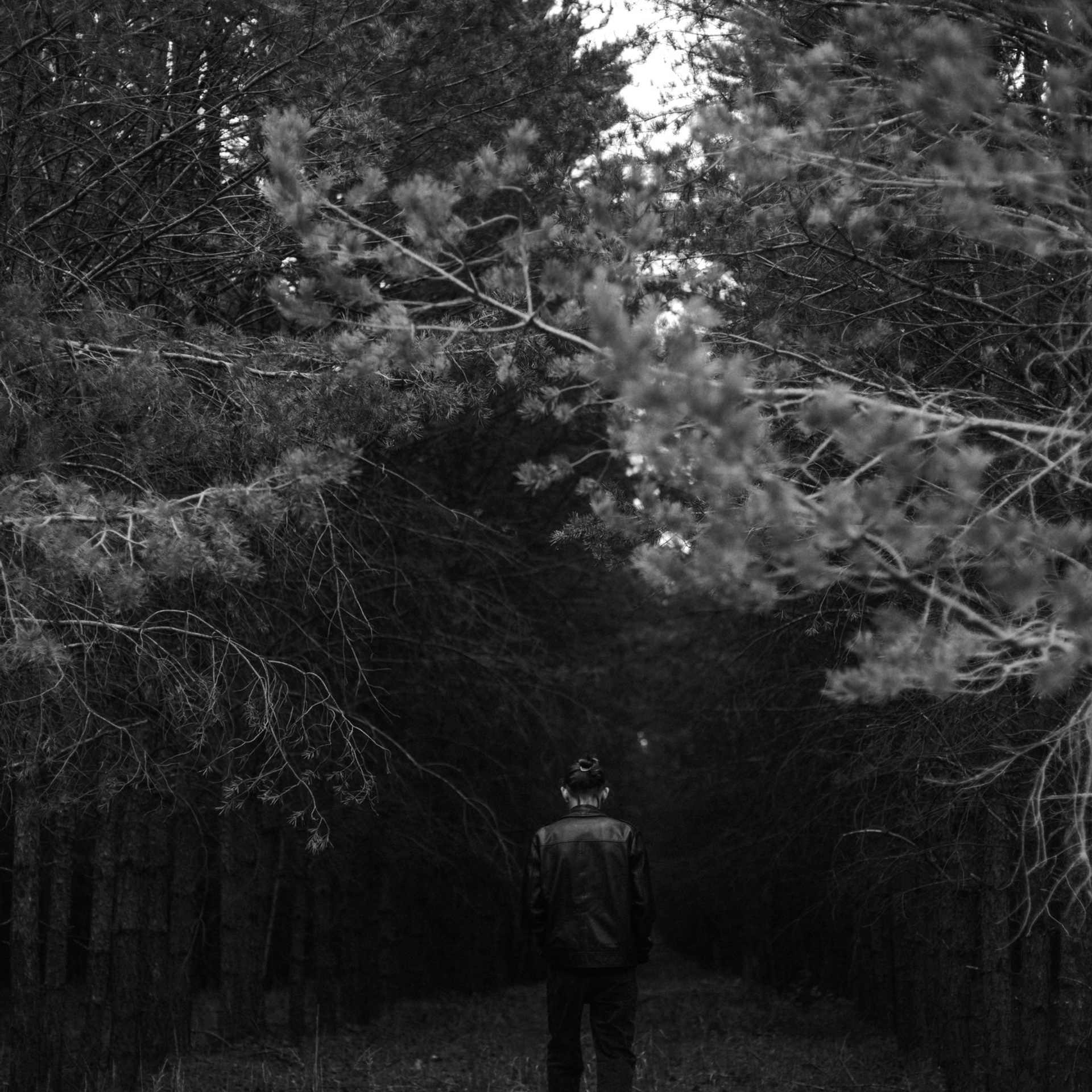 Отзывы. ФОТОГРАФ Екатеринбург Москва Анастасия Замесина