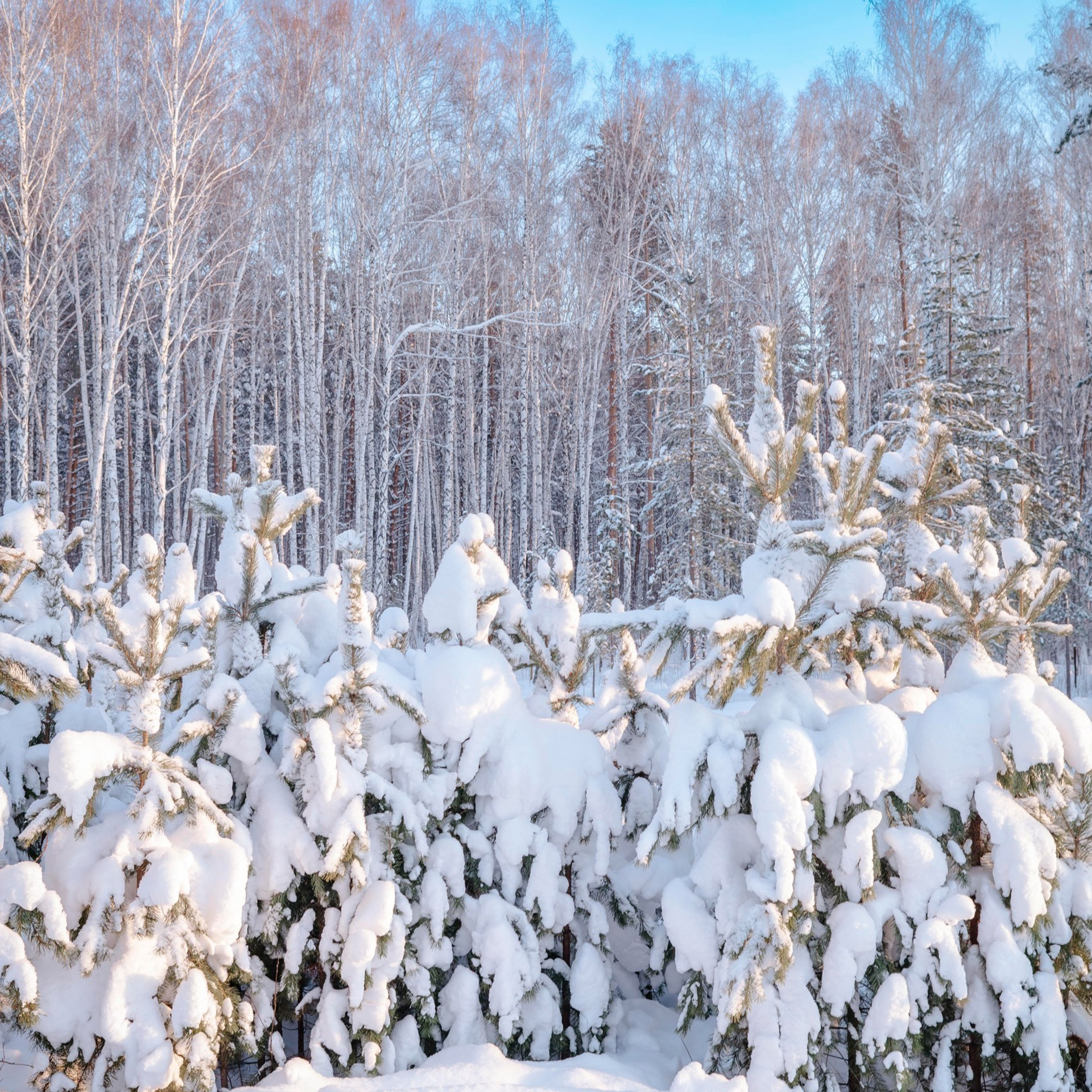 Отзывы. Студийный и свадебный фотограф В городе Екатеринбург Ирина Мальта