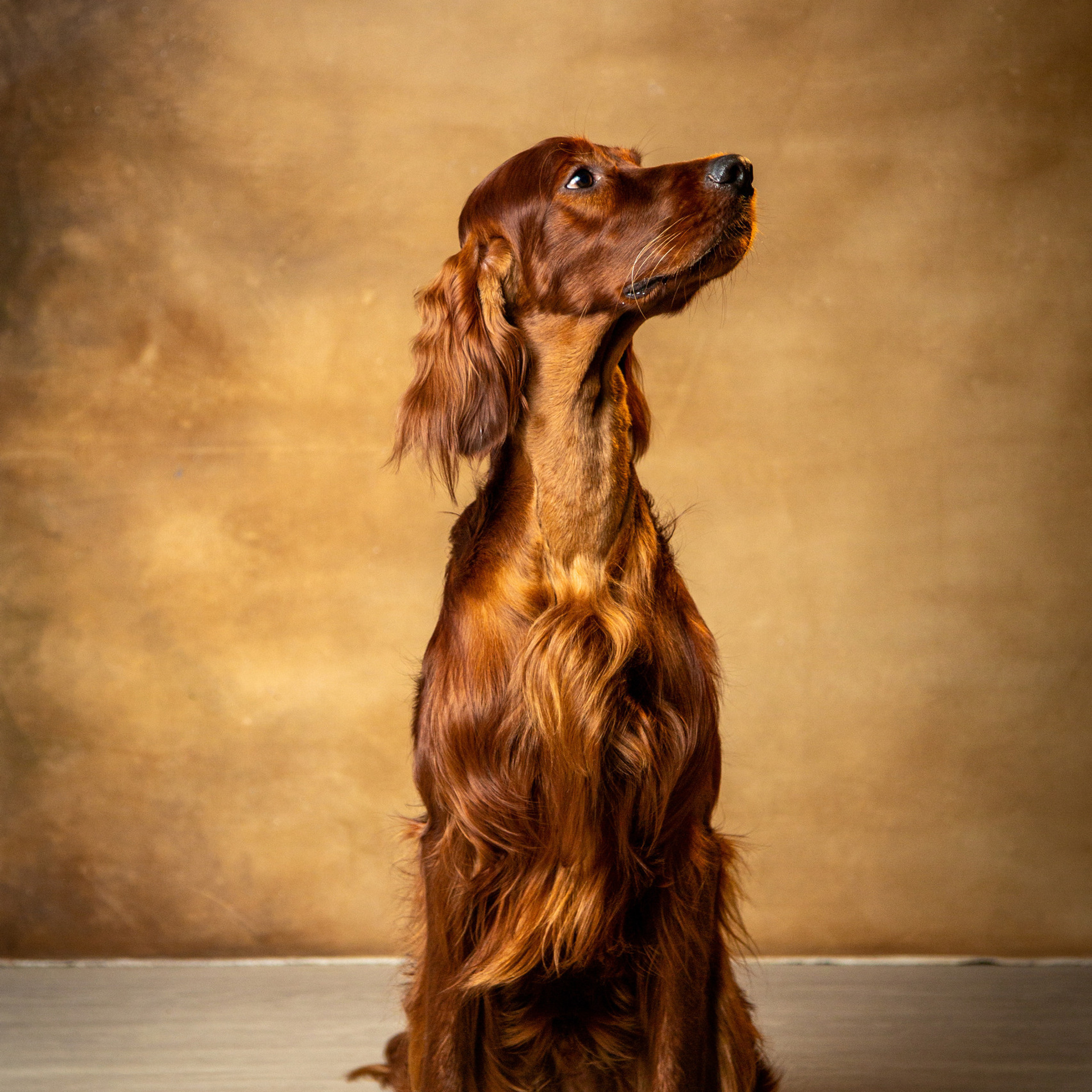 Отзывы о  детском фотографе. Детский семейный фотограф Великие Луки Анна Никонова