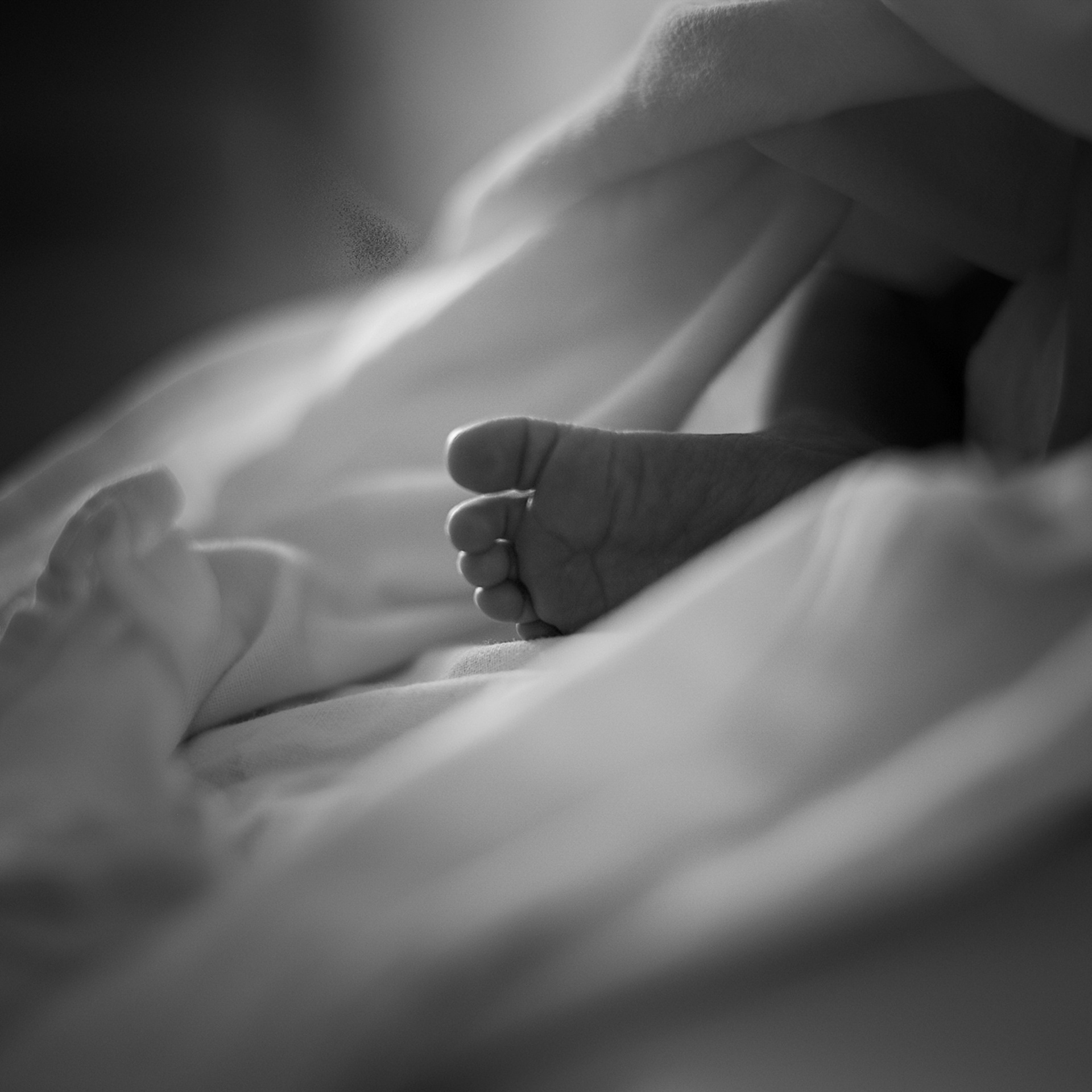 Выписка из роддома ч/б