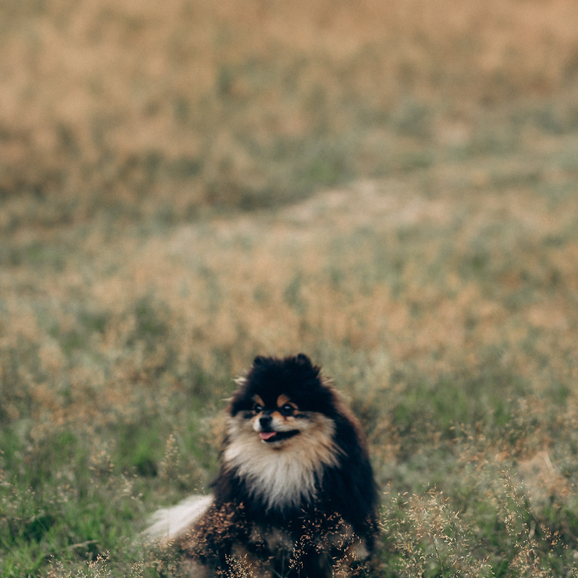 Отзывы. Фотограф ПИТЕР СПБ Надежда Баранова