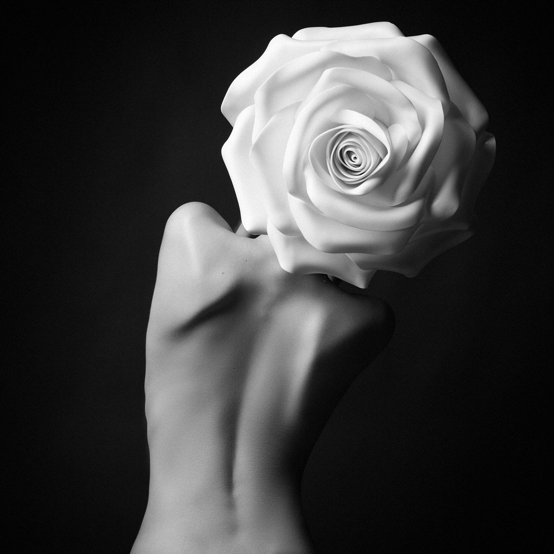 Bw photo. Режиссер, сценарист, фотограф