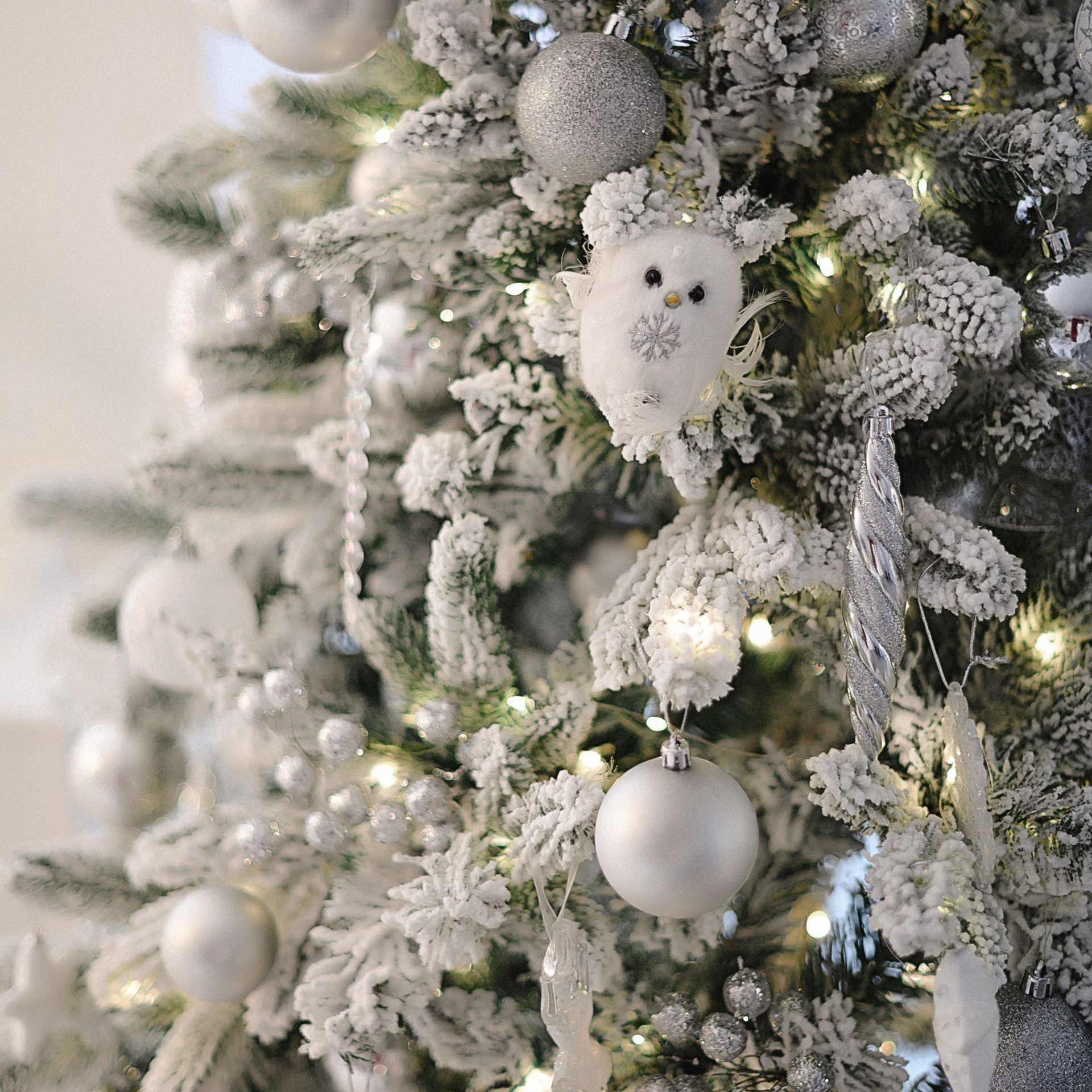 Отзывы. Свадебный и семейный фотограф Мария Ан