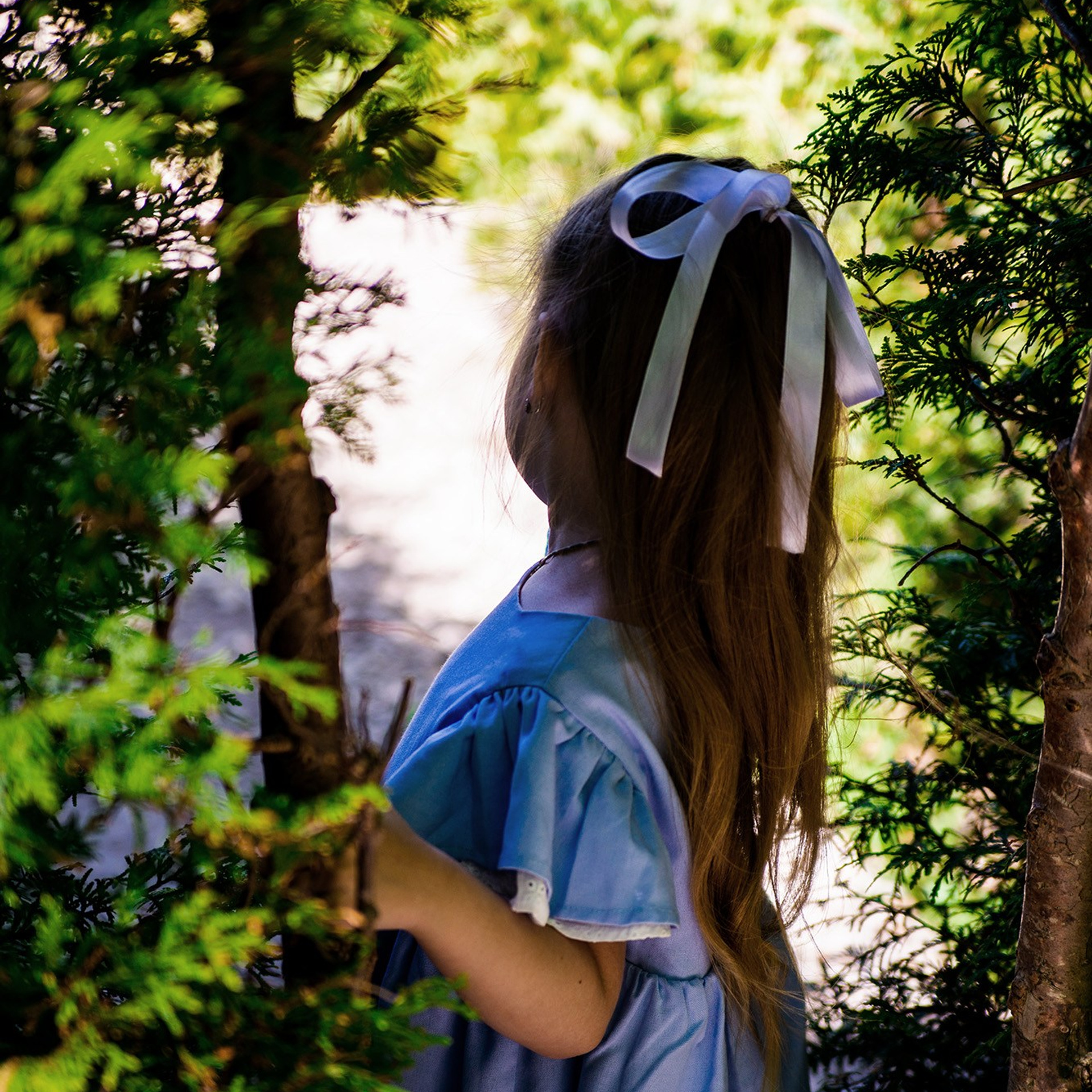 в стиле «Алисы в стране чудес»