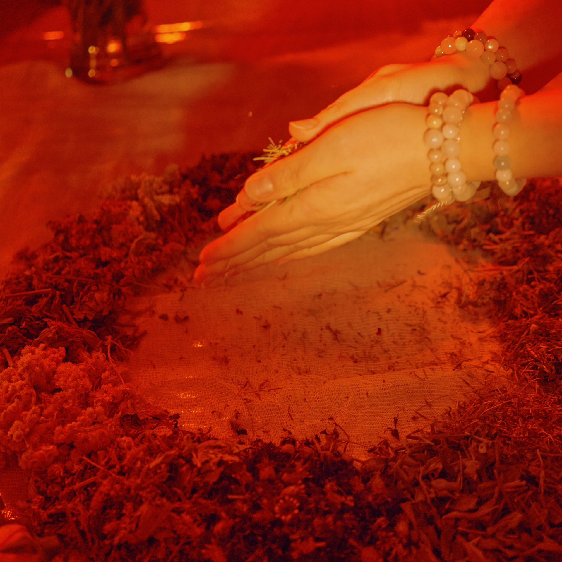 Отзывы. Фотосессии коммерческие и творческие в Москве. Вика Эдельман