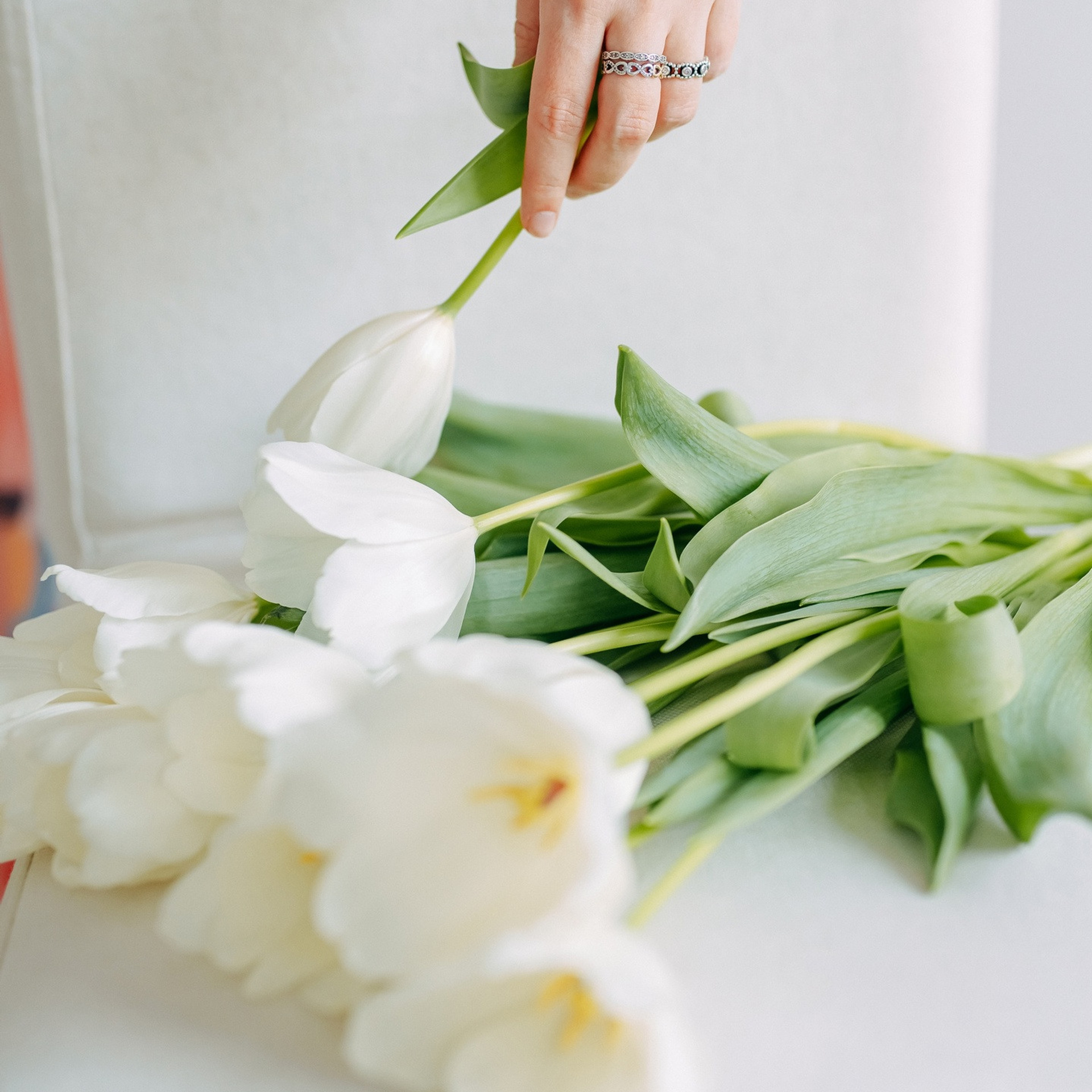 Весна. Портрет.