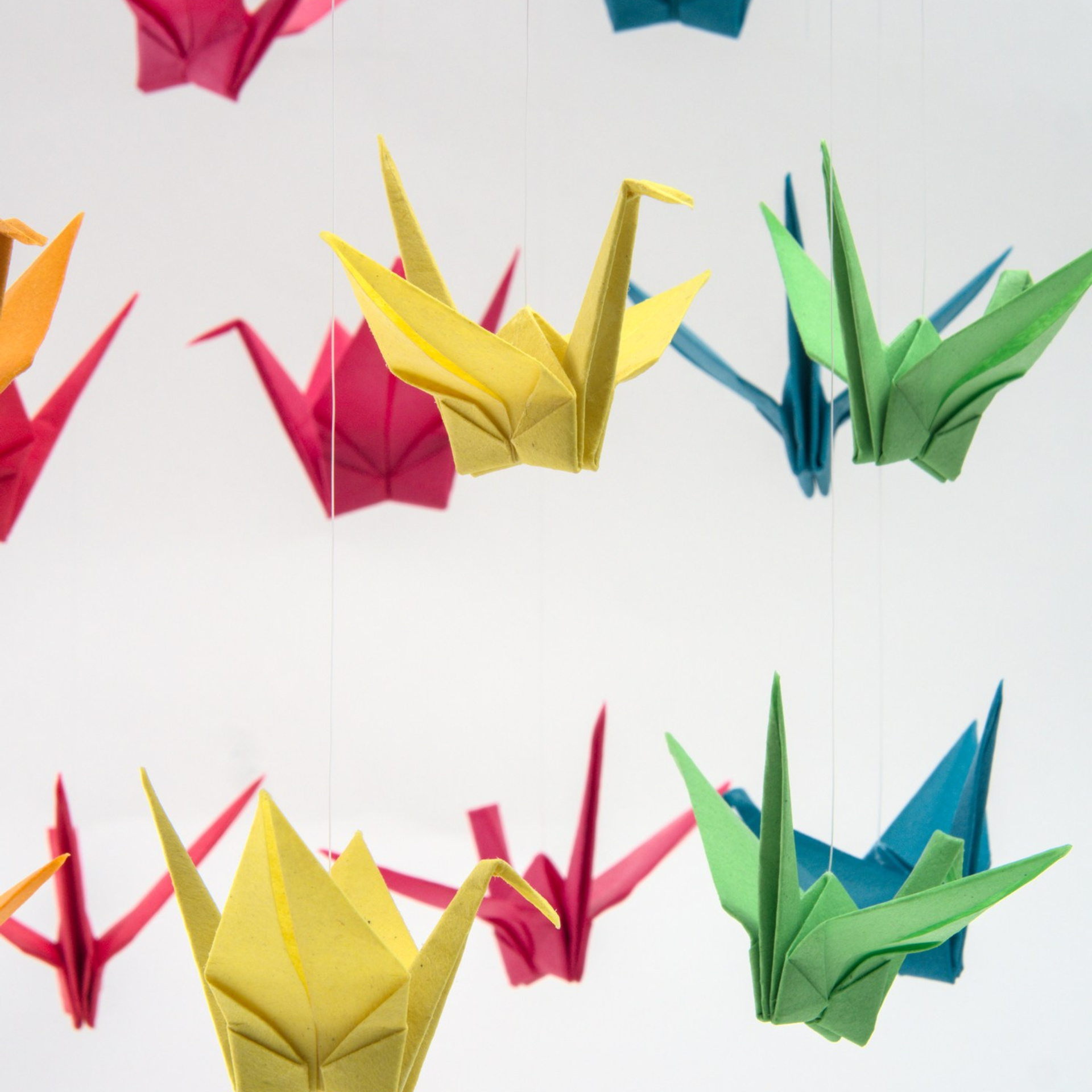 Отзывы. Предметный фотограф Мария Белка