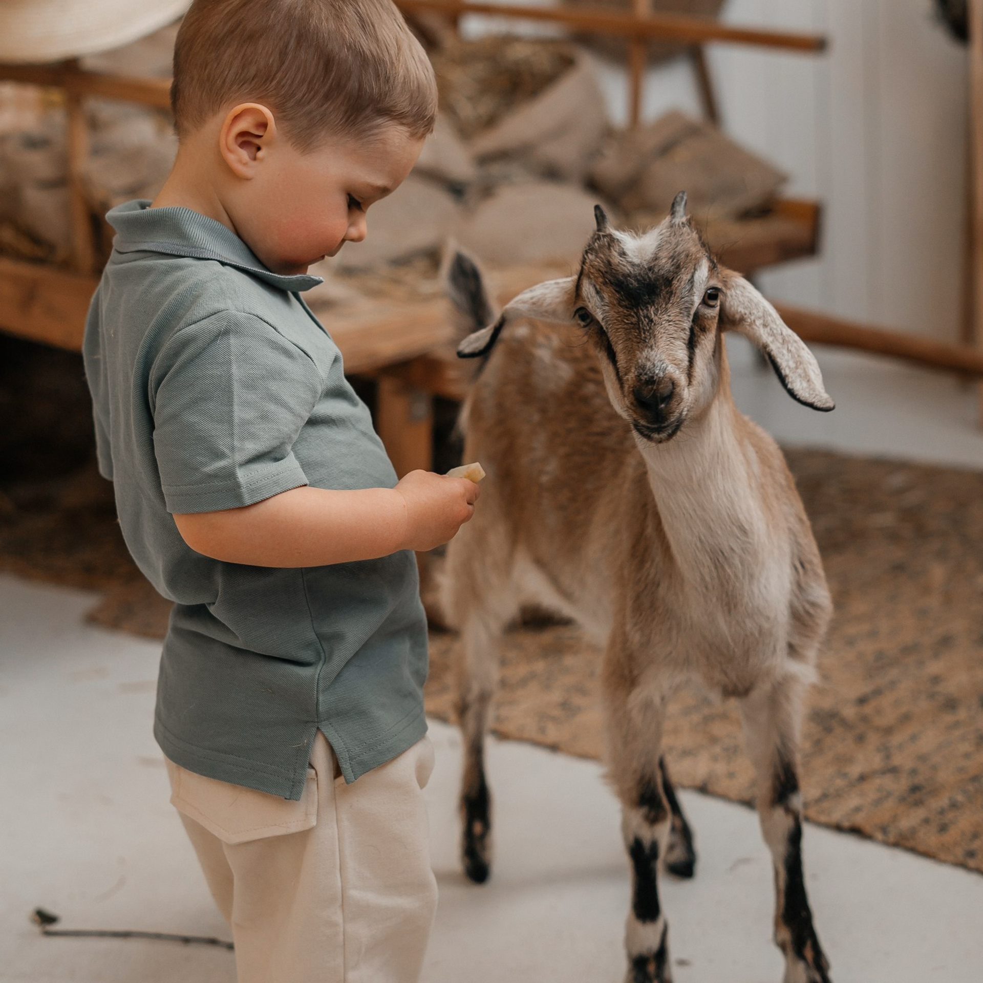 Олечка, Евгений и Тема