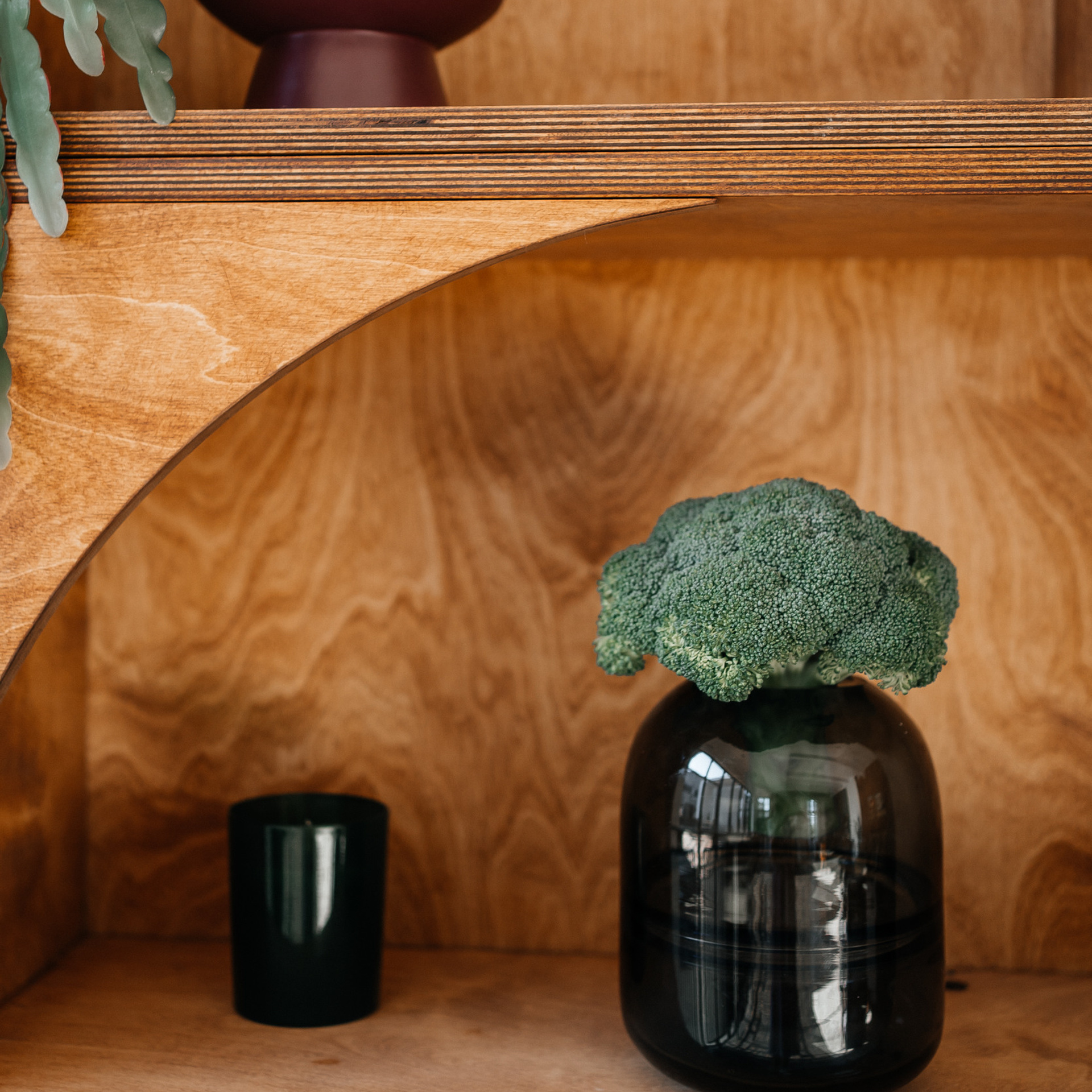 Отзывы. Ольга Брайт Семейный и Контент Фотограф в Санкт-Петербурге