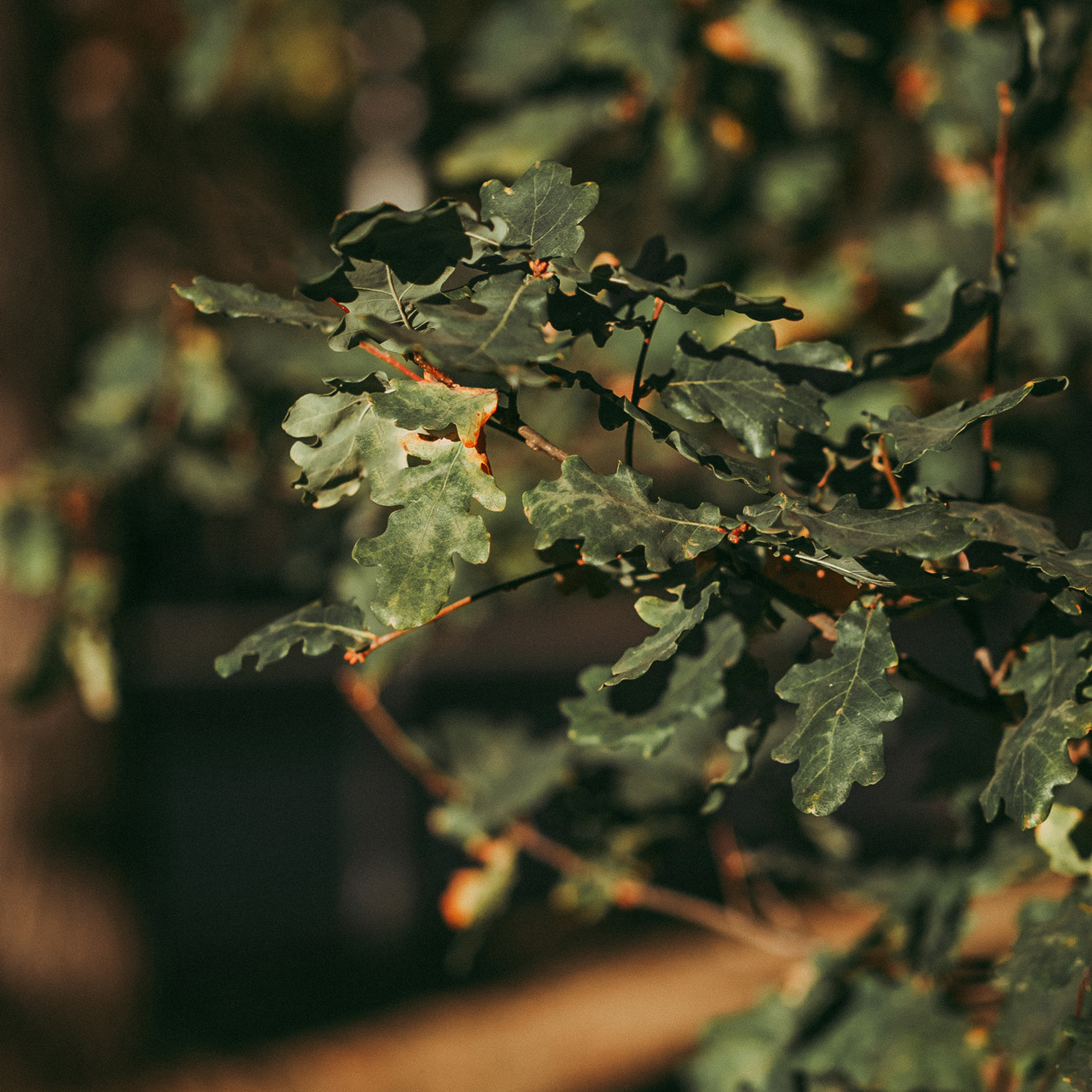 Отзывы. Фотограф в  г. Новосибирск