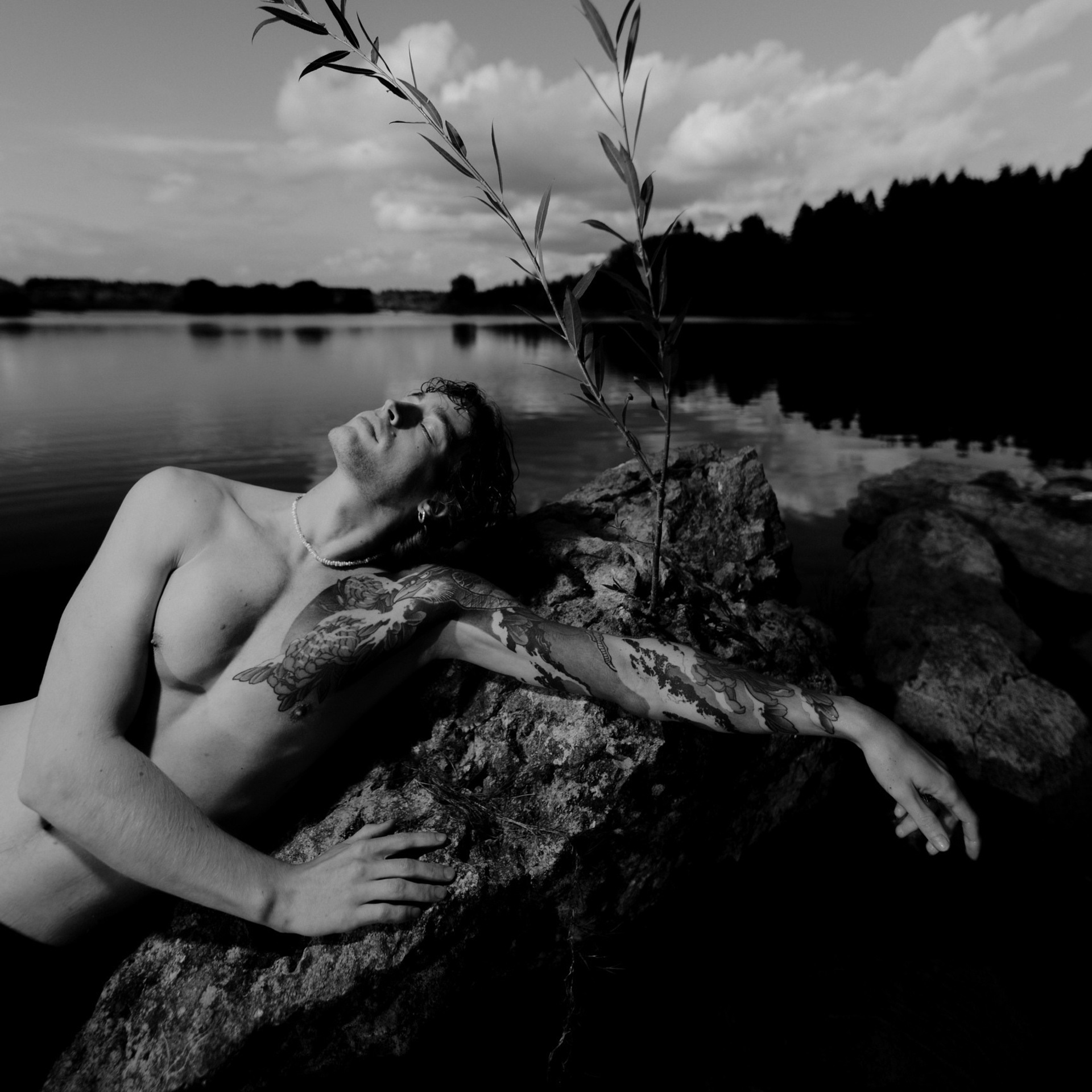 Василий Грецкий