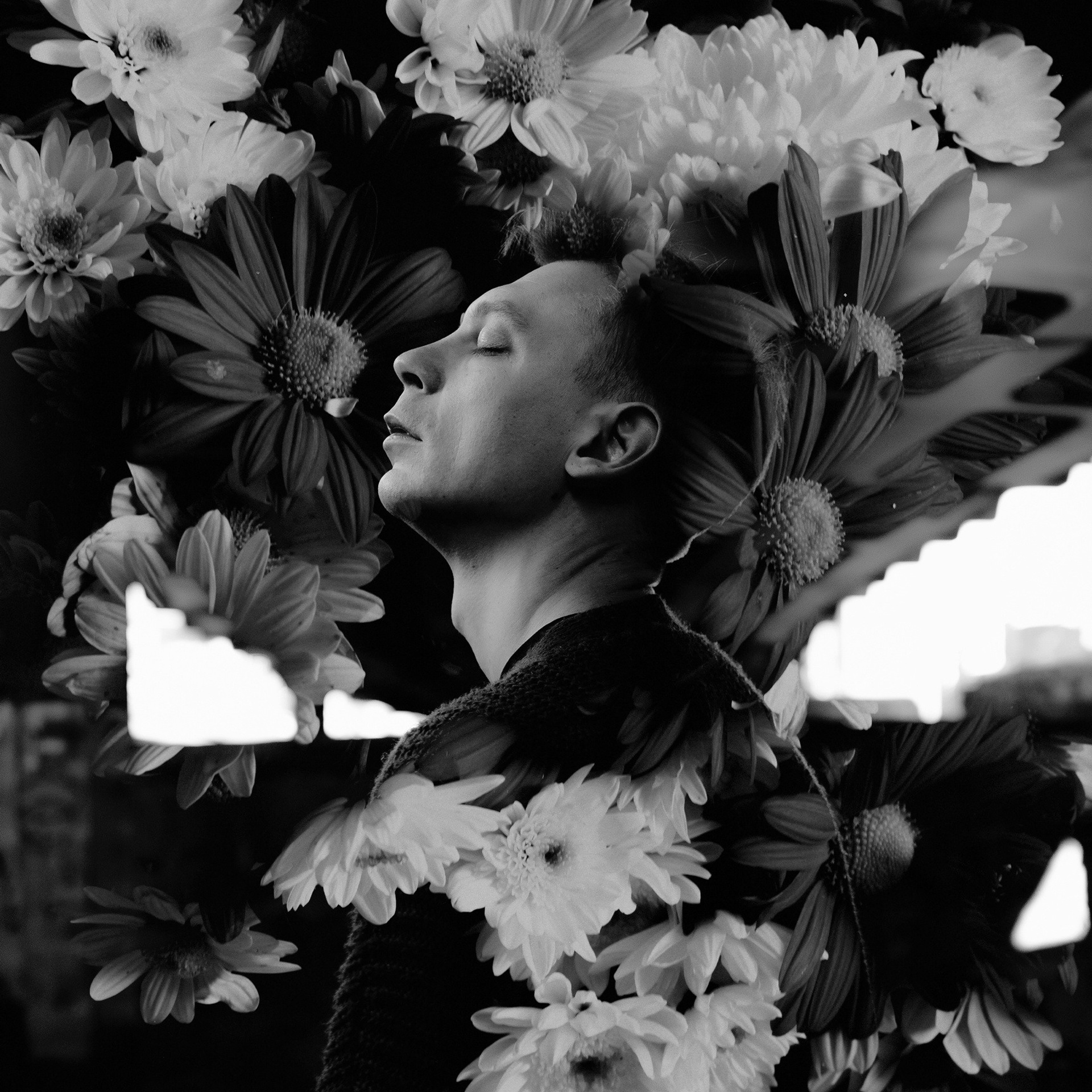 Володя Котляров | группа Порнофильмы