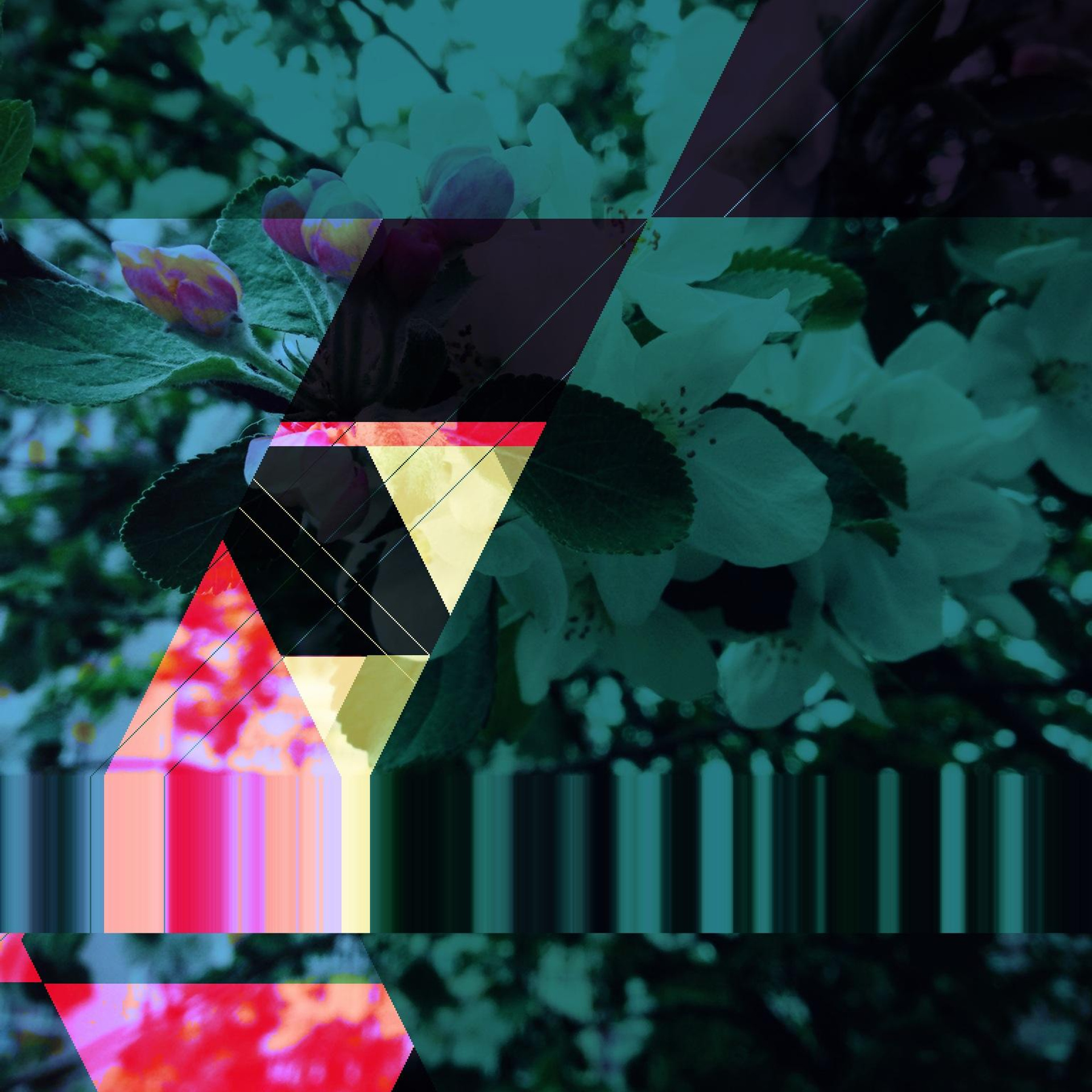 GLITCH ART. Soulstamina ~ graphic designer & visual artist from St.Petersburg