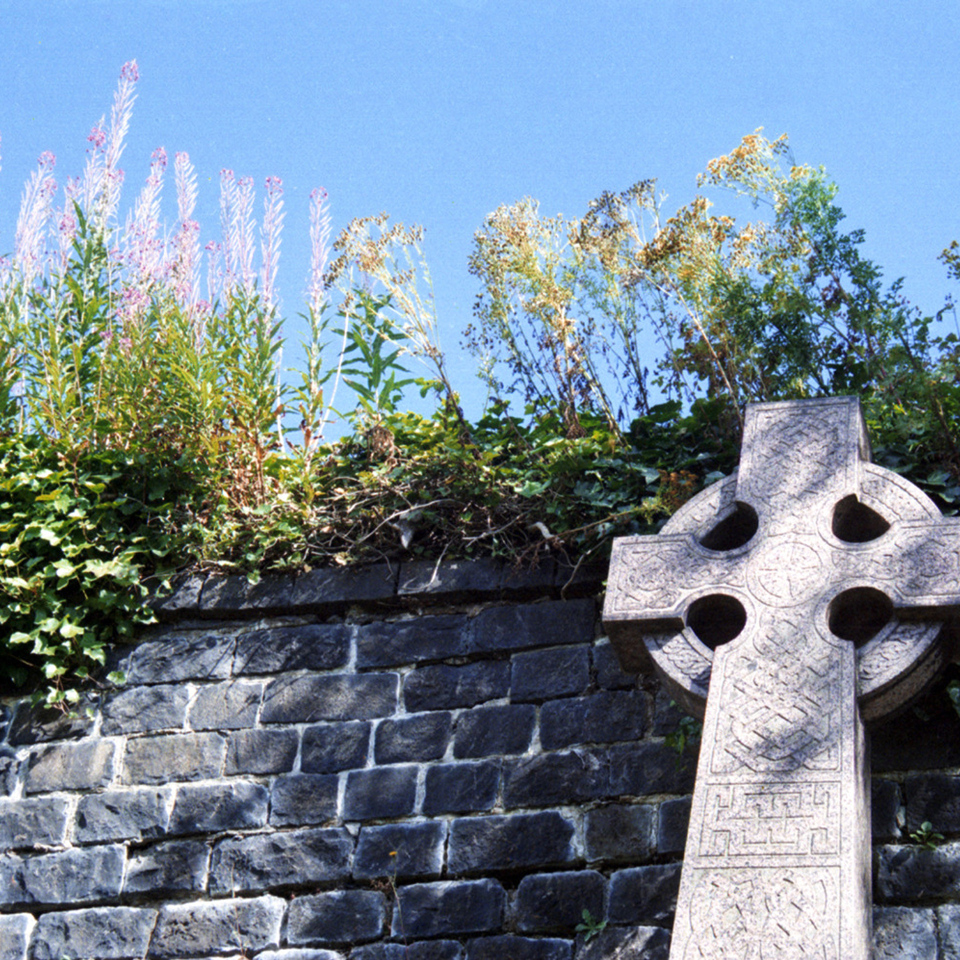 СНОВА СВЕЖАЯ ТРАВА, 2010–2015