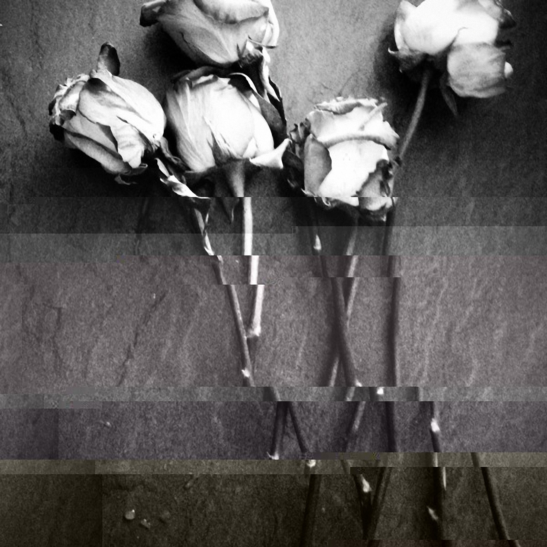 GLITCH ART. Soulstamina ~ graphic designer & visual artist from St.Petersburg