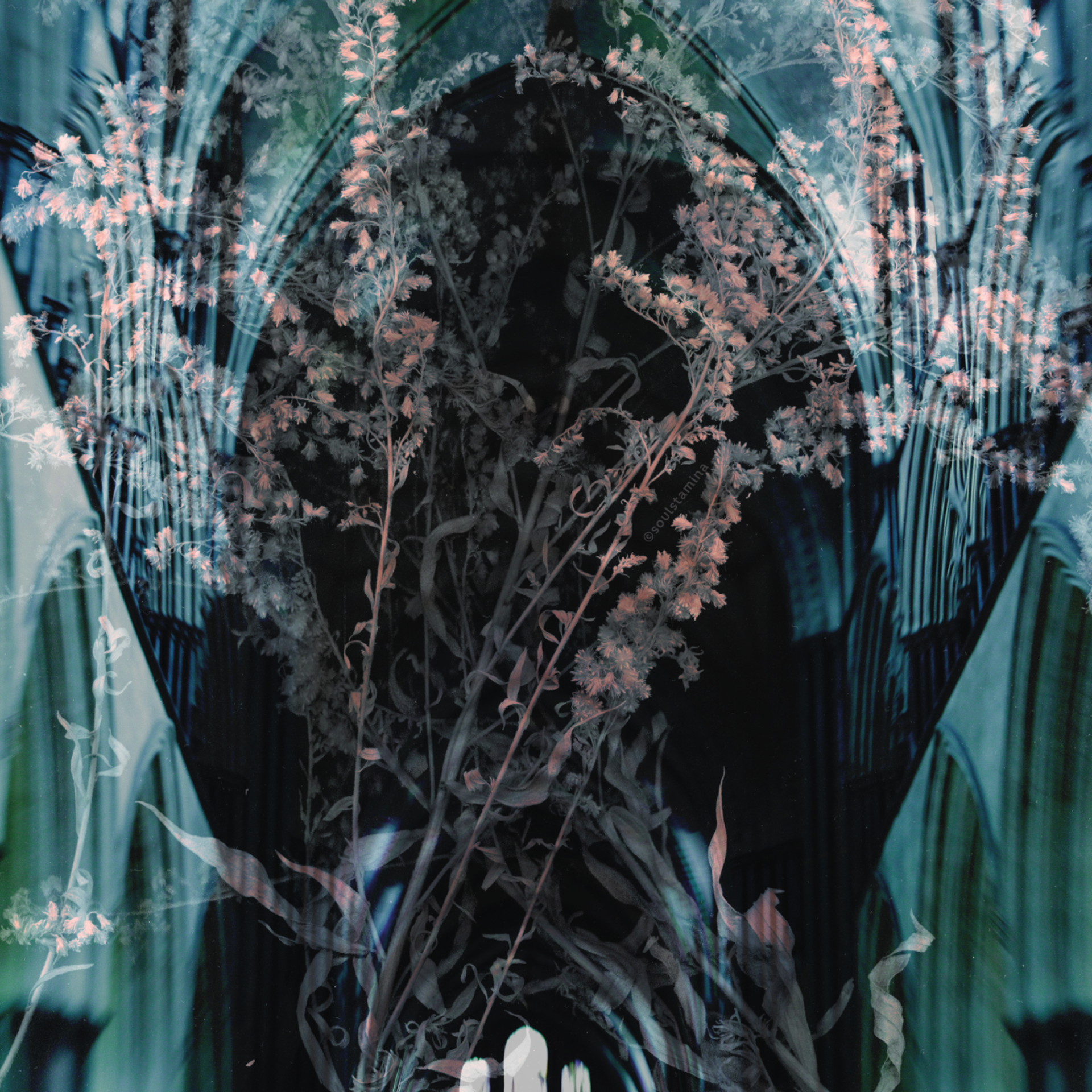 СКАНОГРАФИЯ. Soulstamina ~ graphic designer & visual artist from St.Petersburg