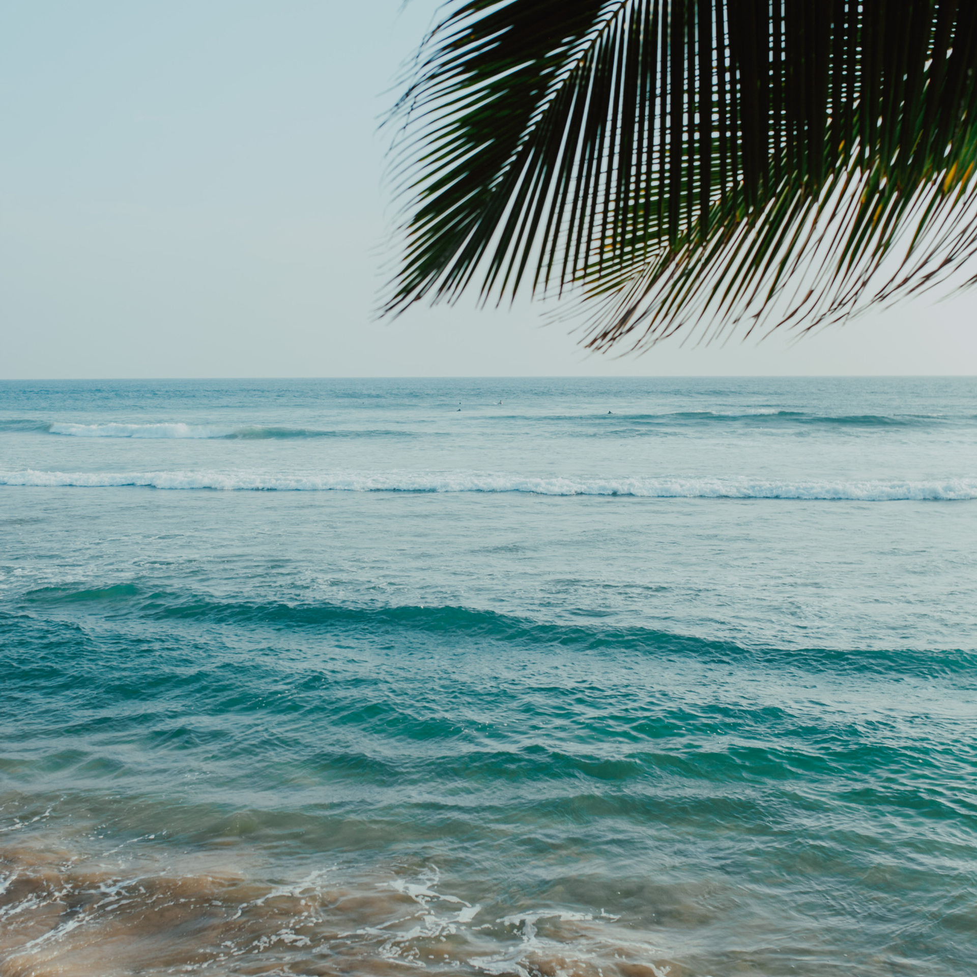 Review’s. Wedding photographers Tbilisi Georgia Alex and Polly