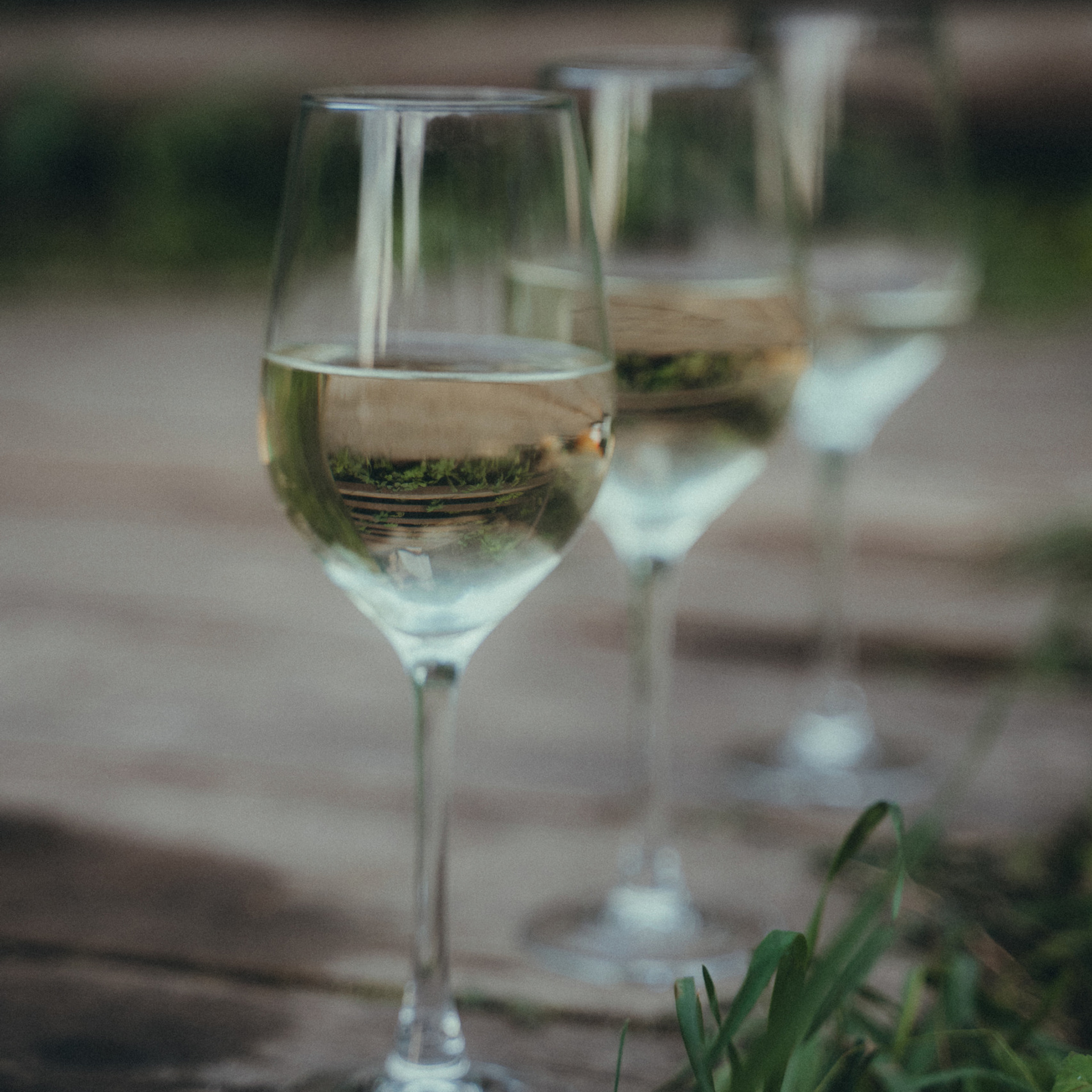 Отзывы. Свадебный фотограф Михаил Мирзоян