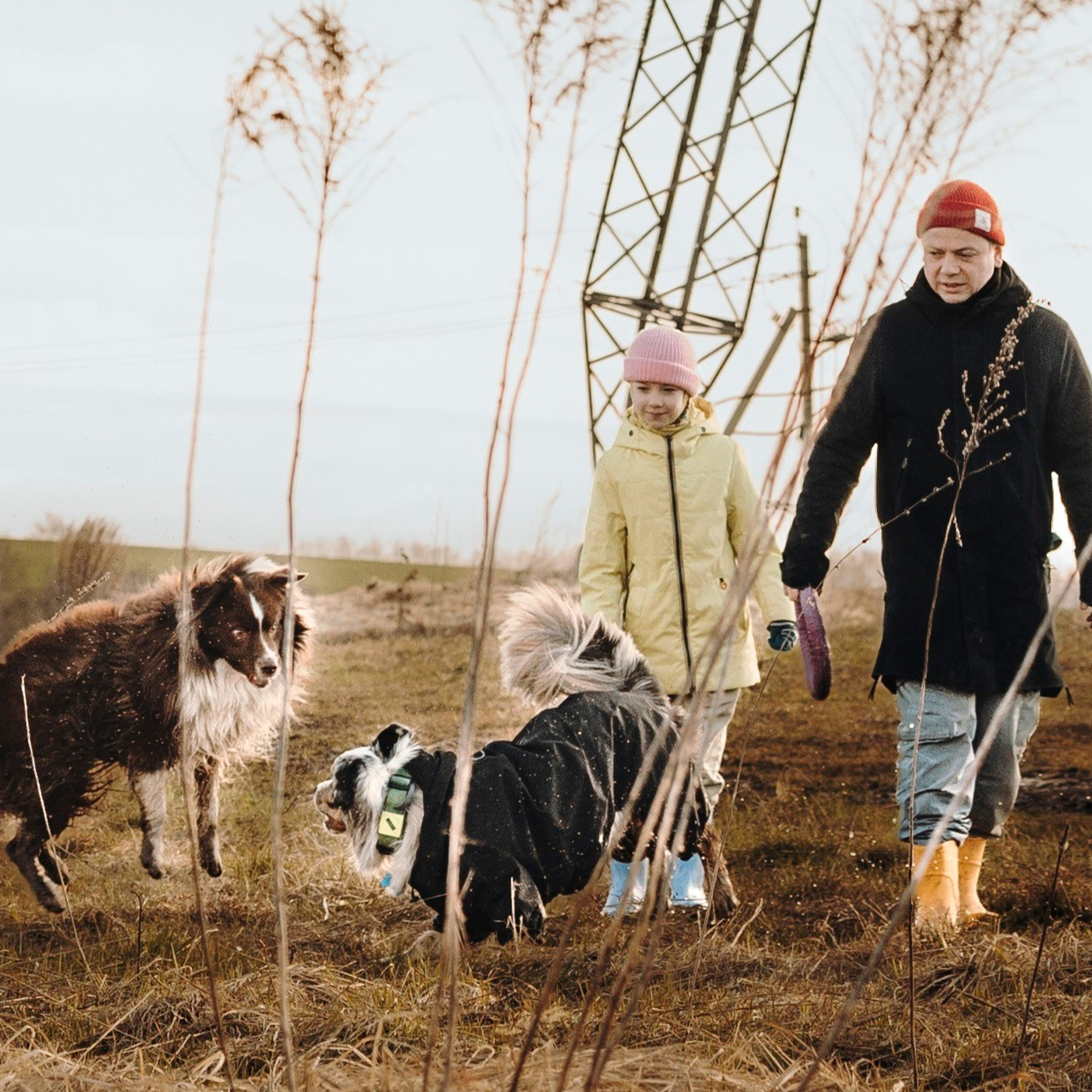 Смена в «DogCamp»