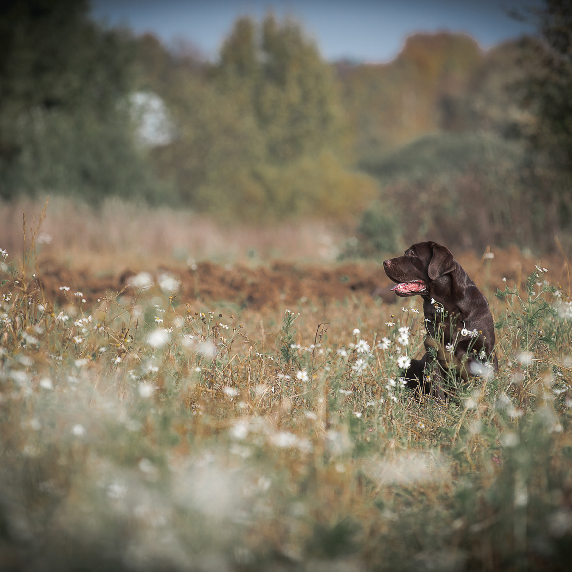 Отзывы. Фотограф-анималист Наталья Светличная
