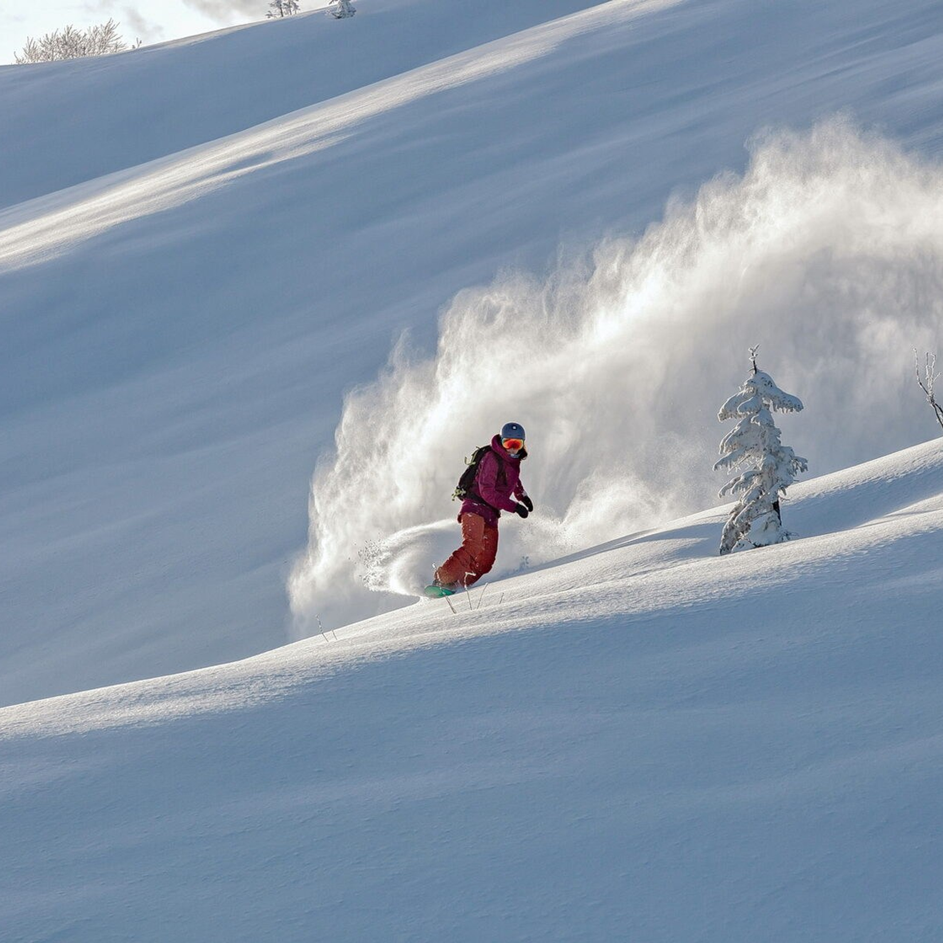 Snow camp. Шерегеш. Уникальные экспедиции — LUCKY CLAN