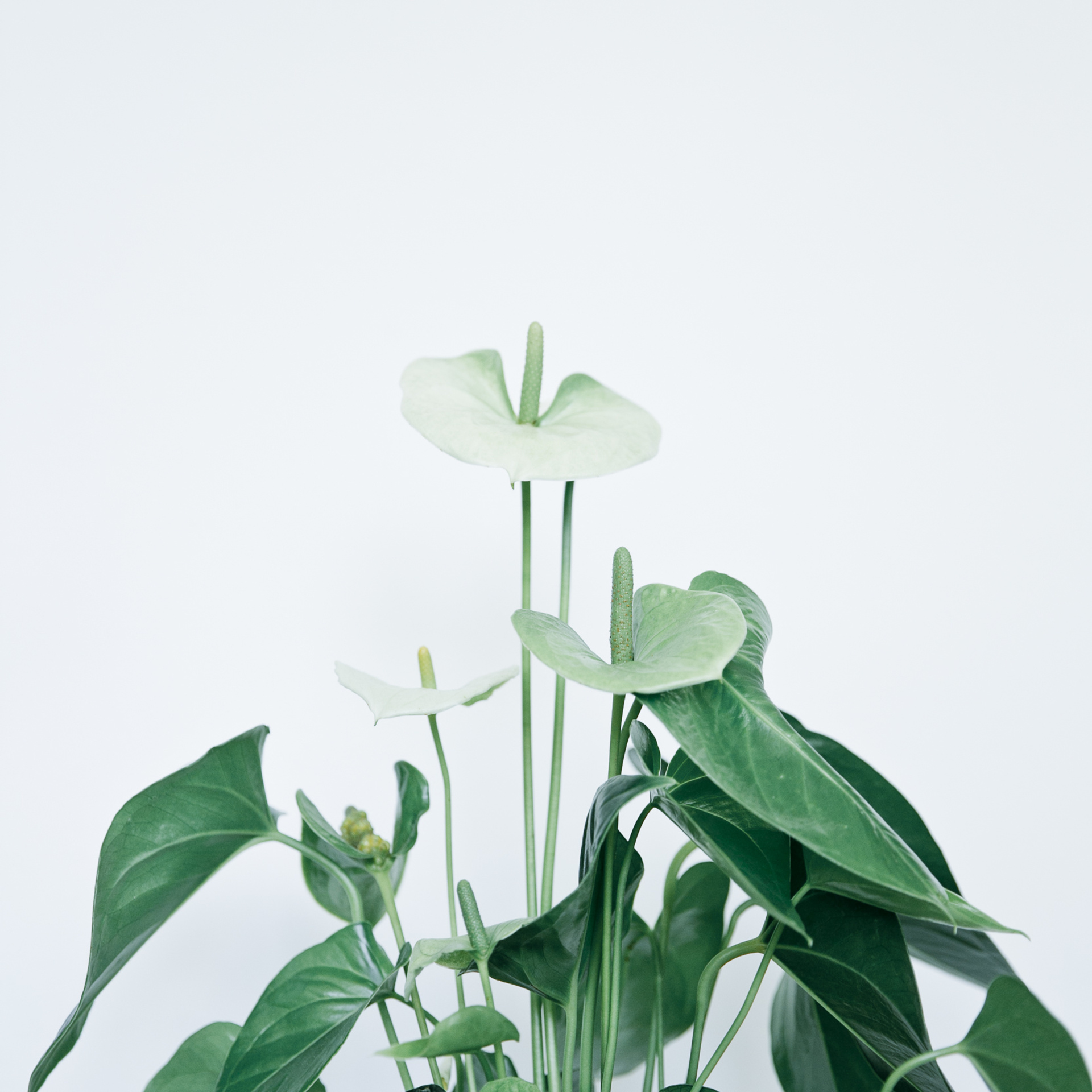 Отзывы о фотографе Ксения Чебиряк