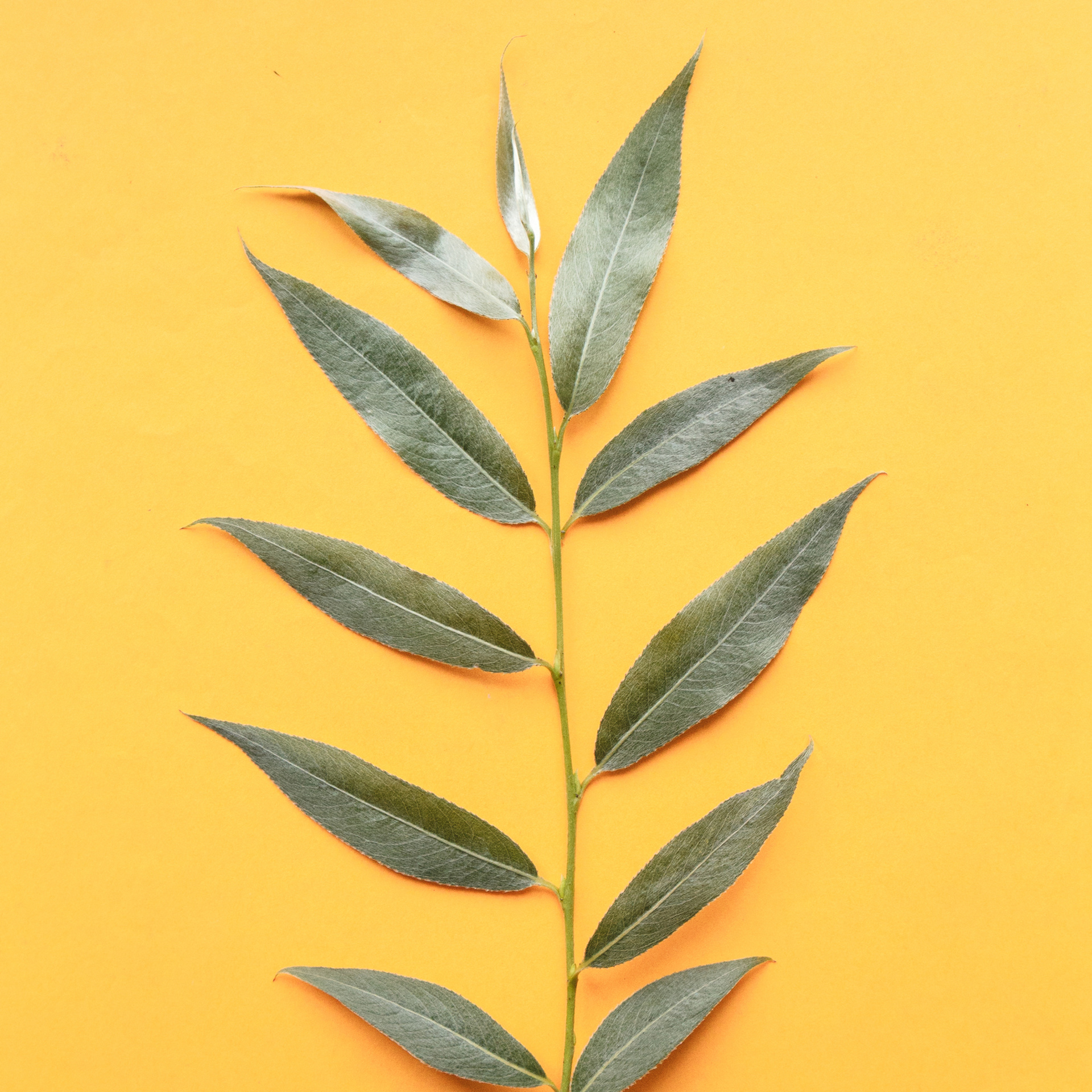 Отзывы о фотографе Ксения Чебиряк