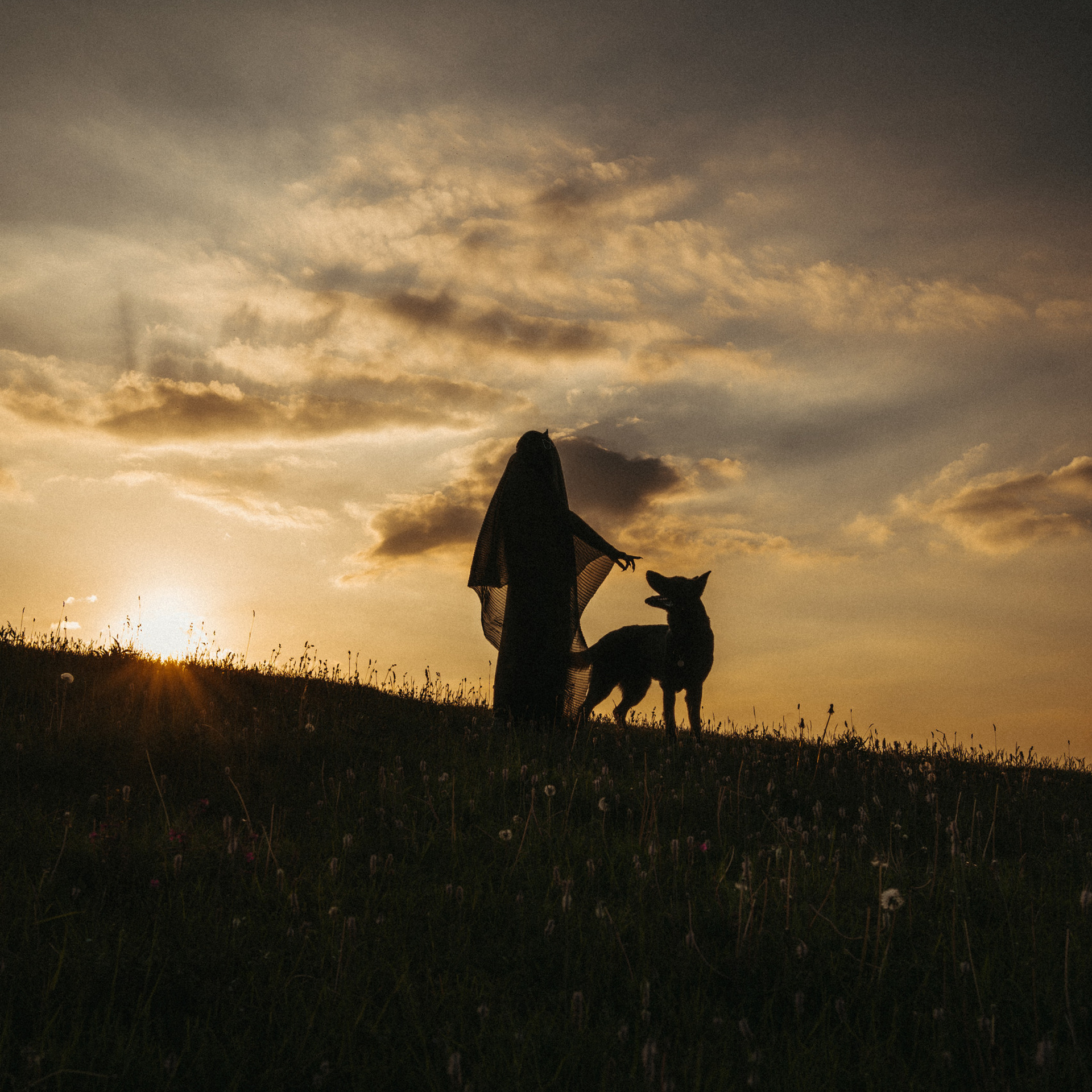 Отзывы. Свадебный фотограф в Петербурге Таша Вайб