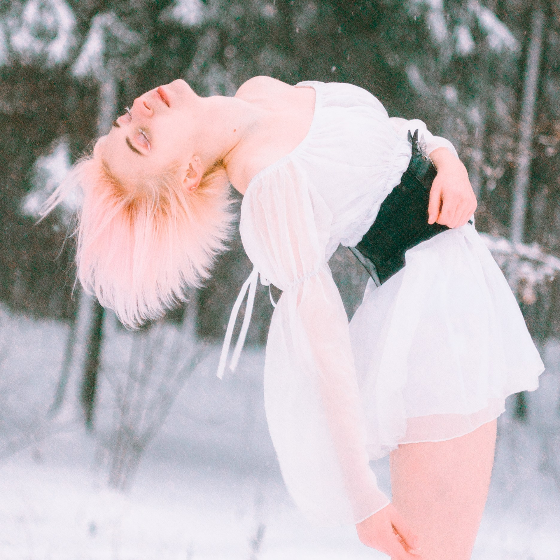 Elizaveta Rose | Forest